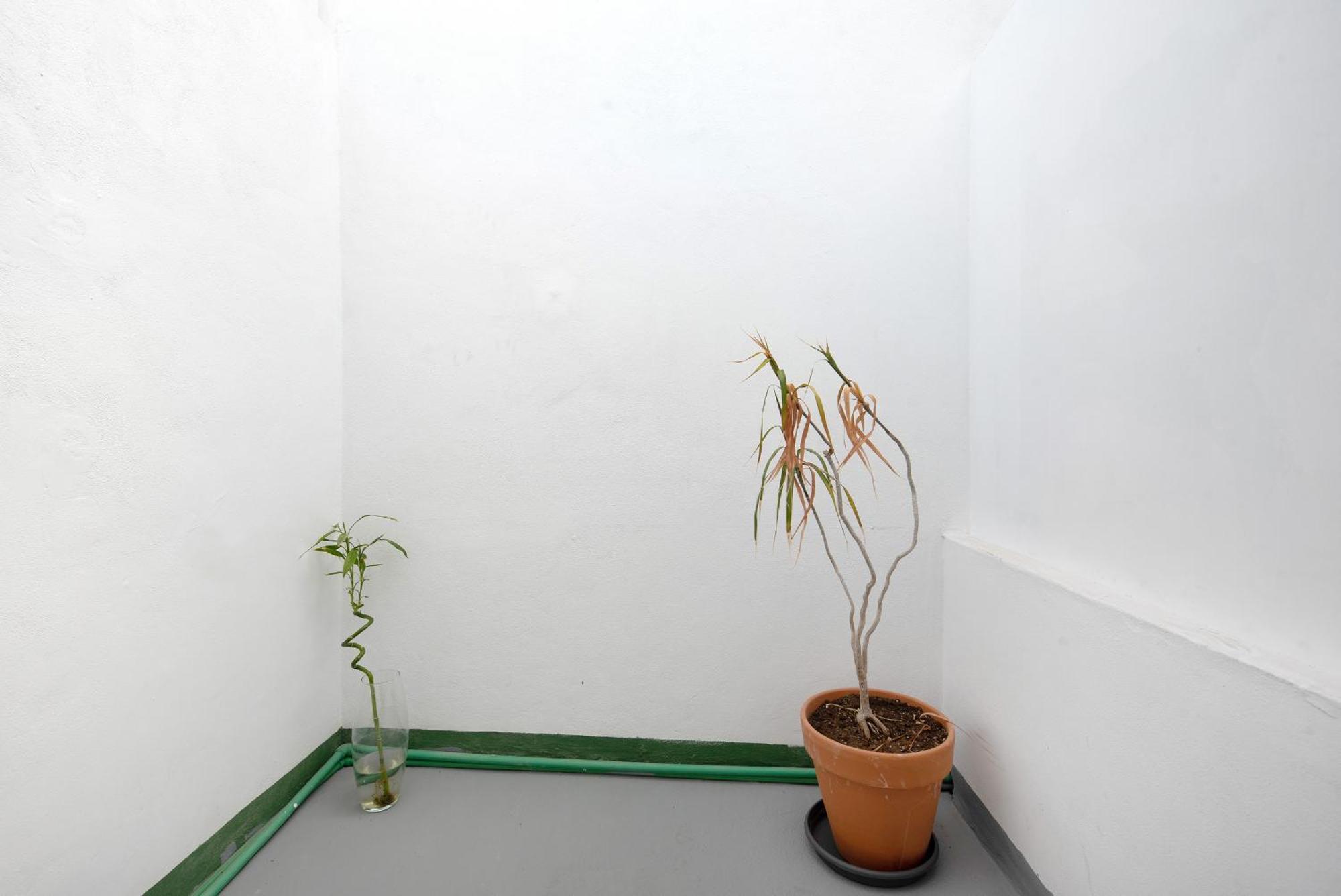 Appartement Vista