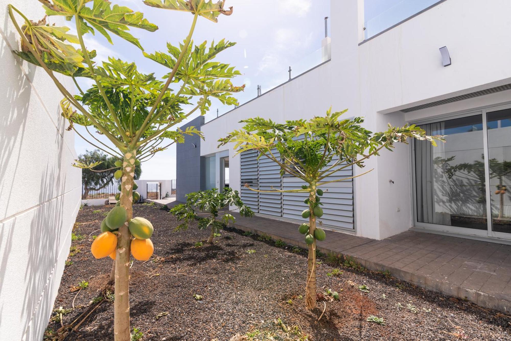 Holiday home House Near The W Sea View Arico