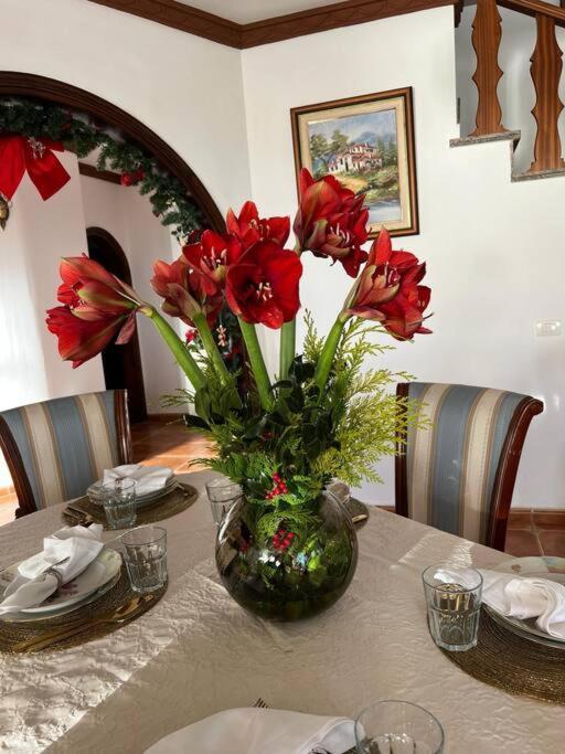 Maravilla With Sea Views Villa Los Menores