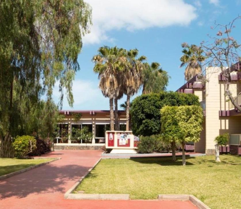 Apartment Galeria De Arte. Arona (Tenerife)