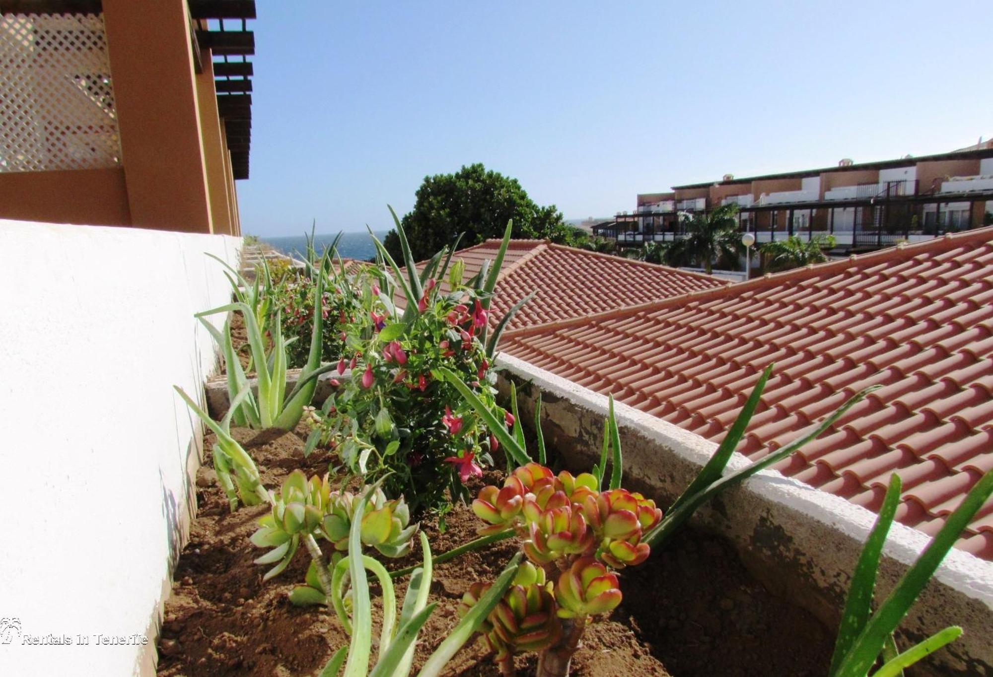 Blue Sky Appartement