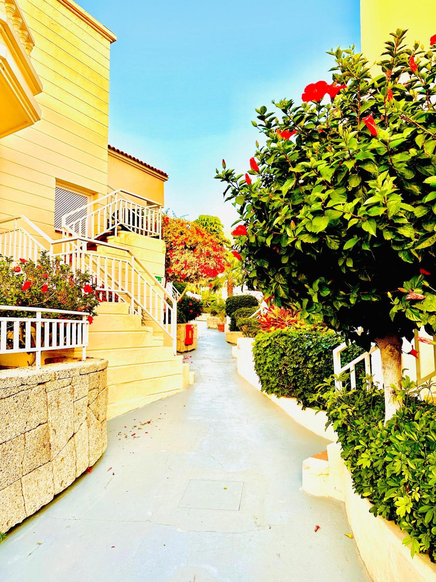 Luxury Fanabe With Private Garden *