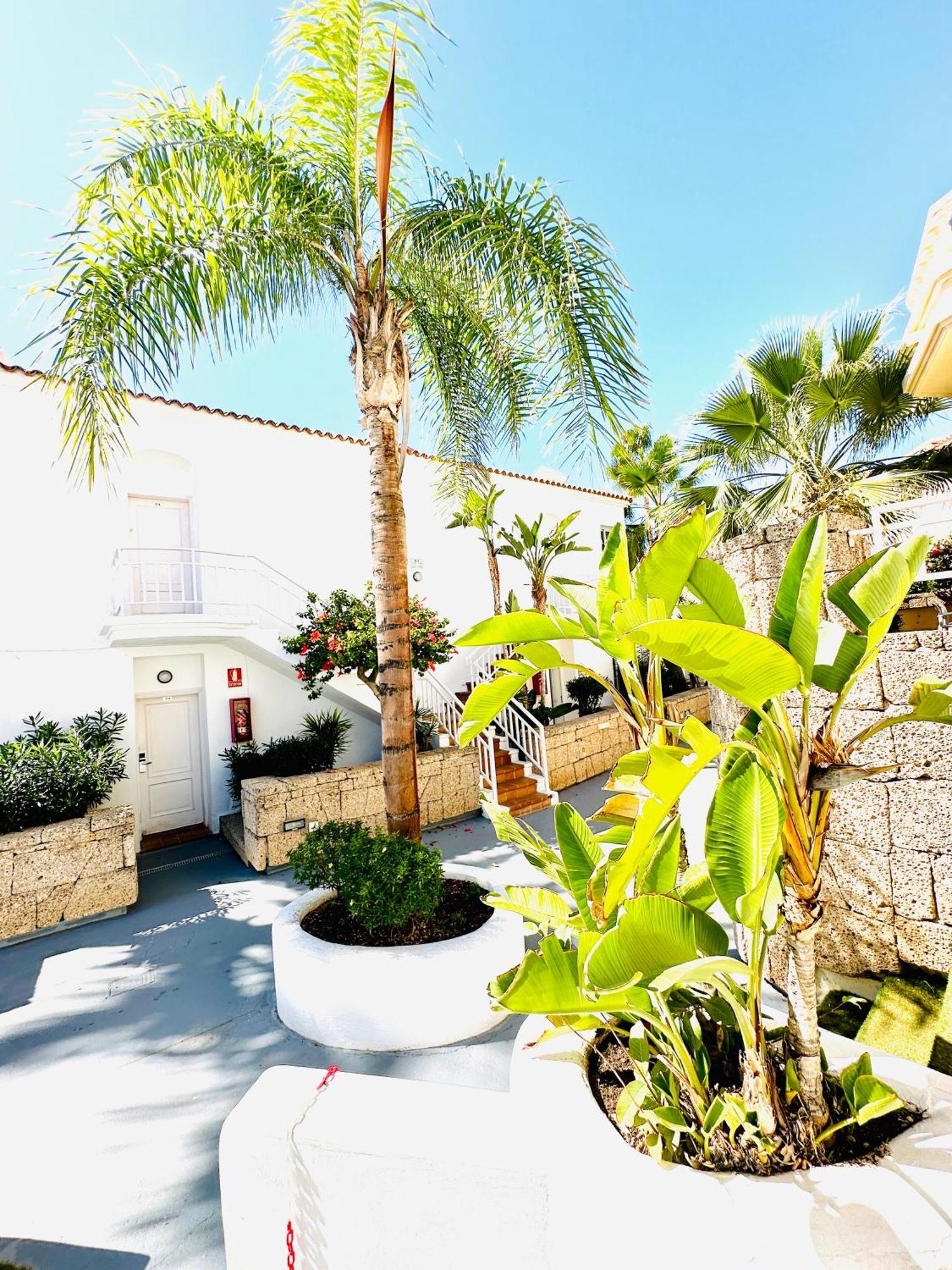 Luxury Fanabe With Private Garden Appartement *