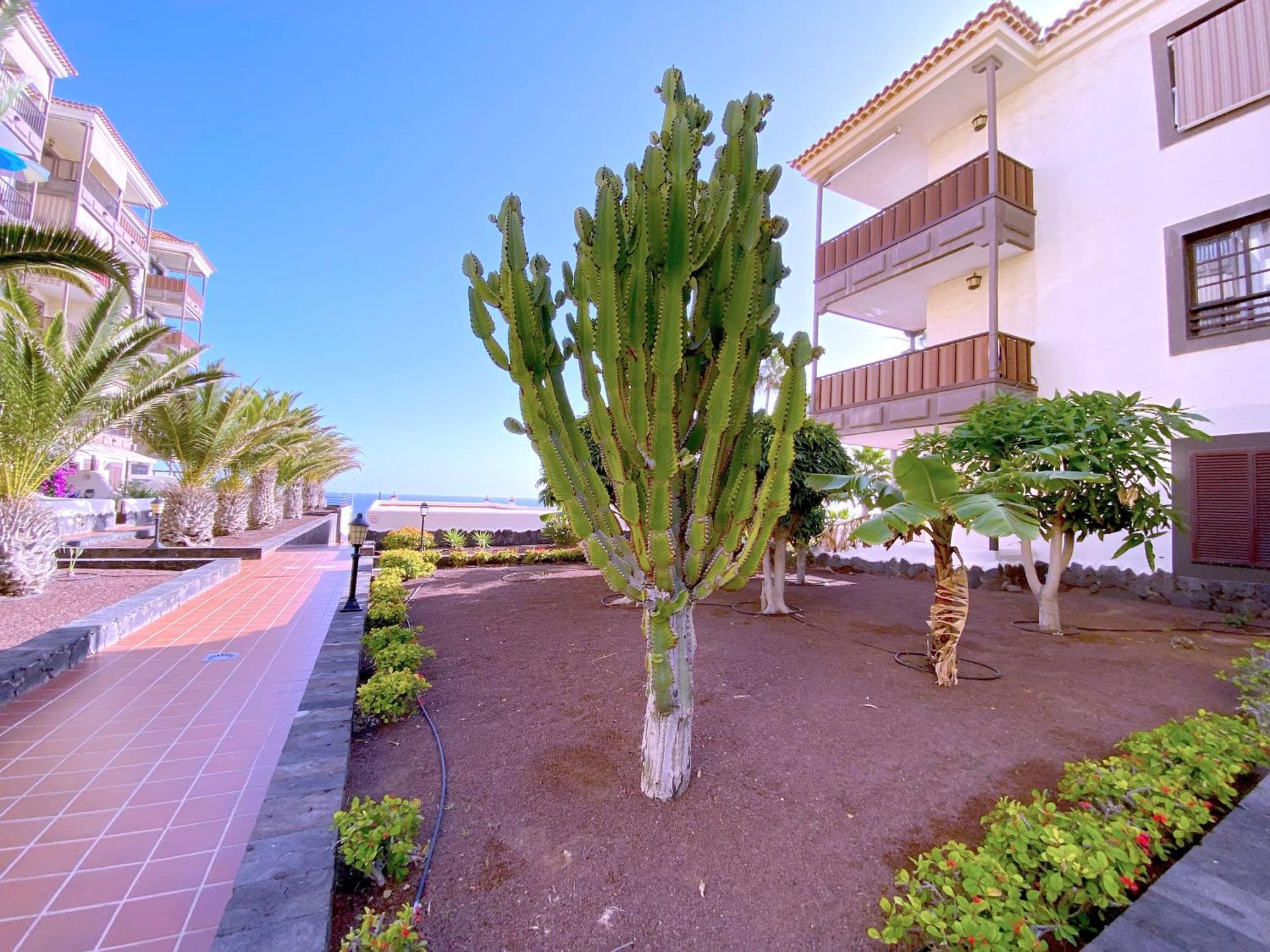 Tropicalidays Costa Mar Apartamento Costa del Silencio