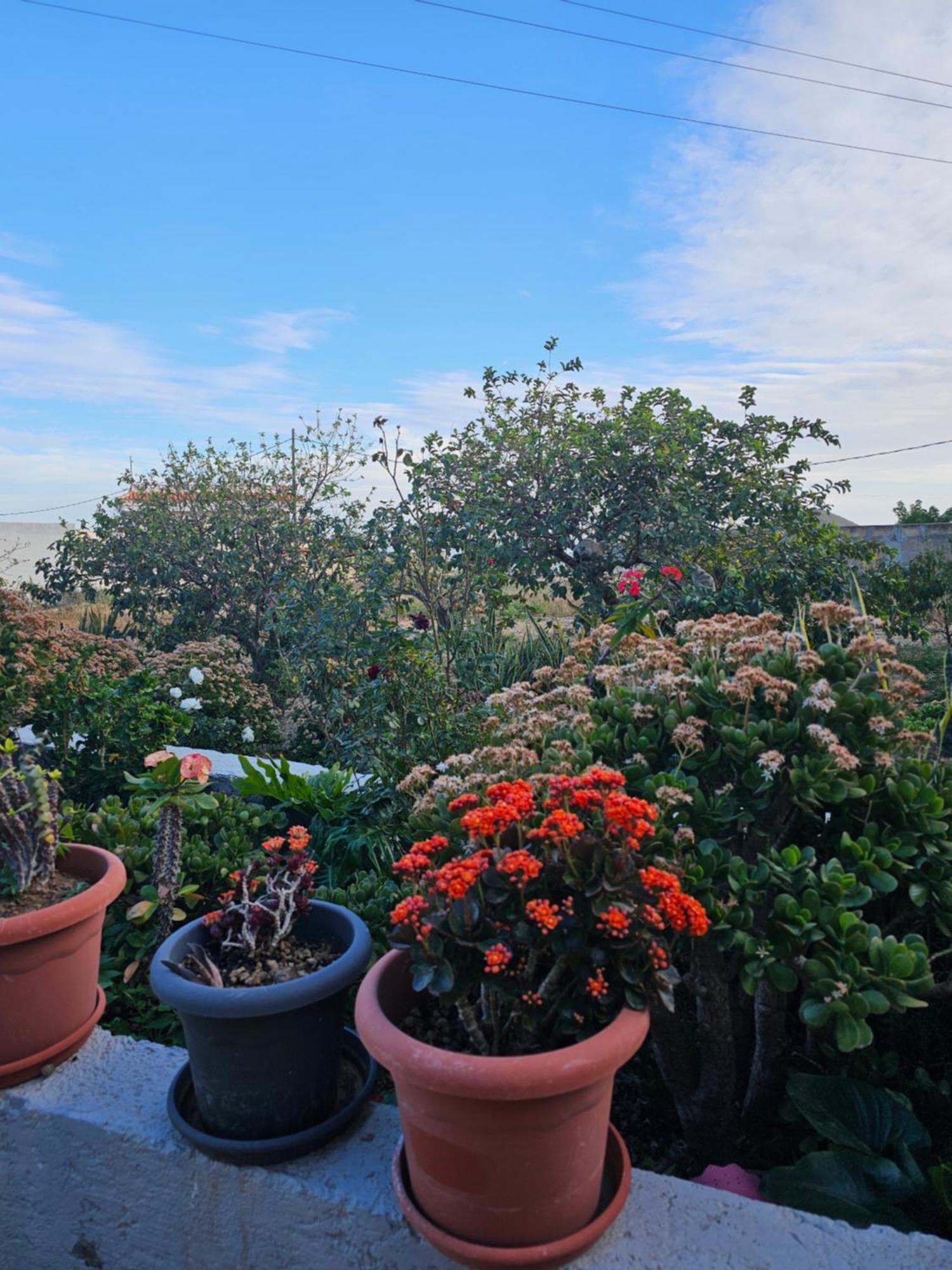 Appartement Eterna Primavera Fayna