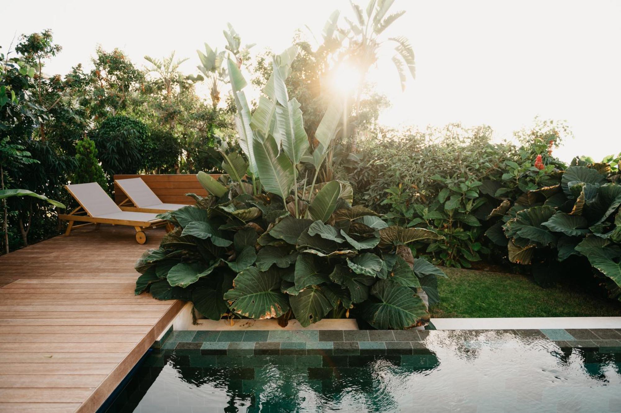 Serenity On The Cliff With Climatized Pool *