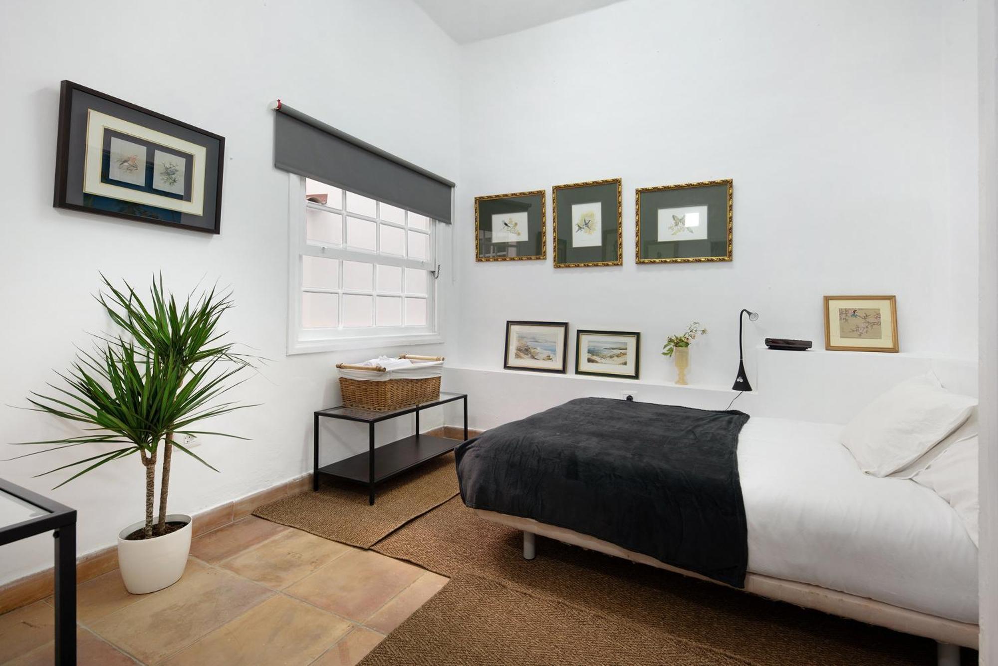 Loft Parque Cruz Santa-Cruz de Ténérife