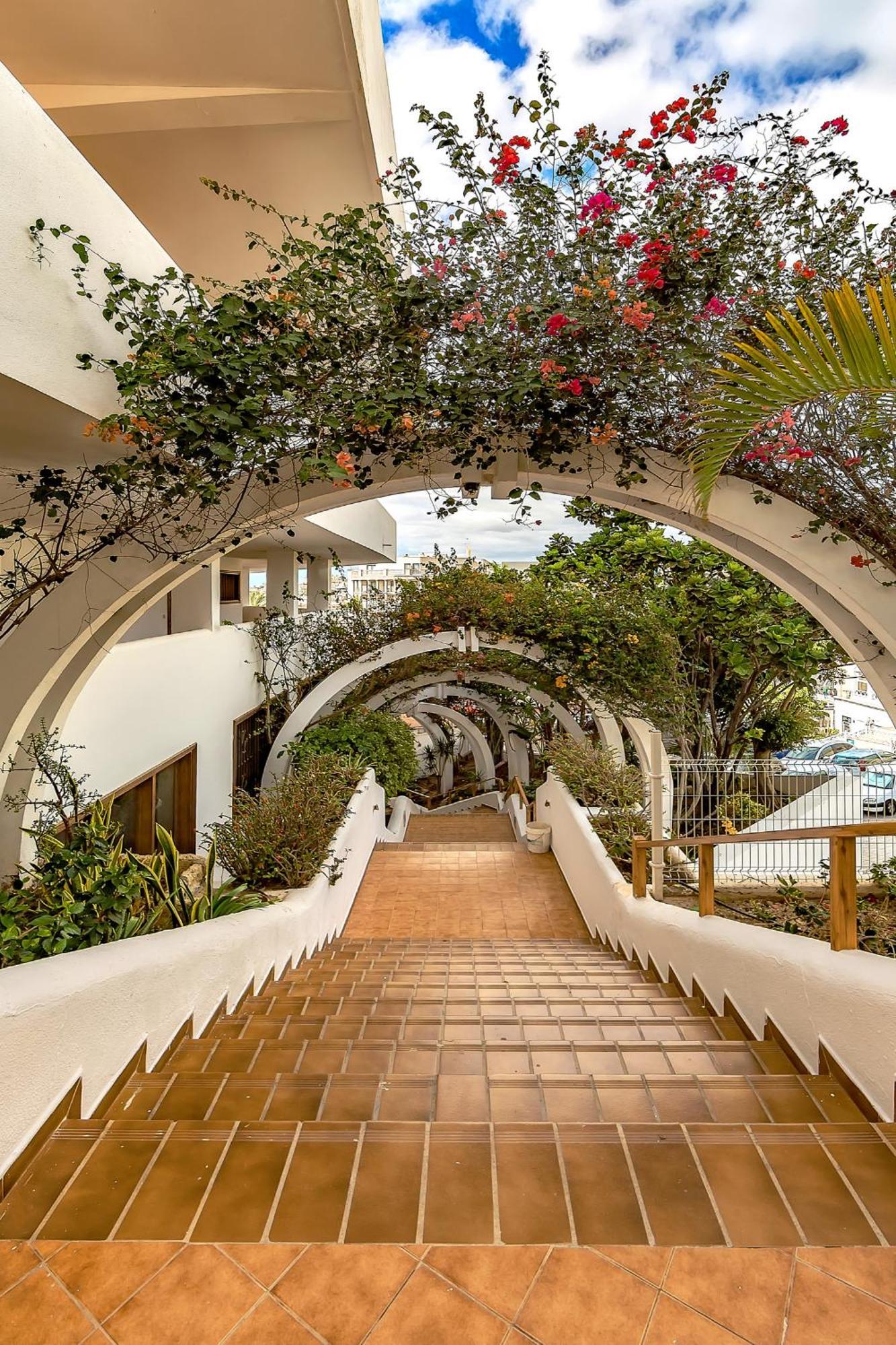 Brand New In Parque Royal Pool Terrace Wifi Appartement