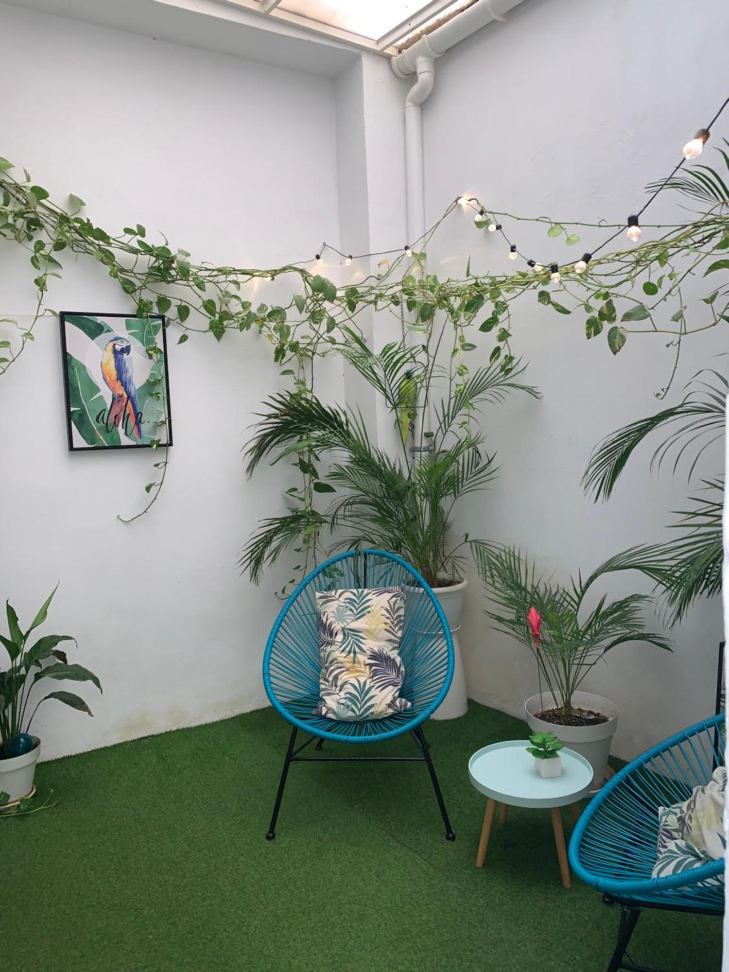 Casa Papagayo Apartment