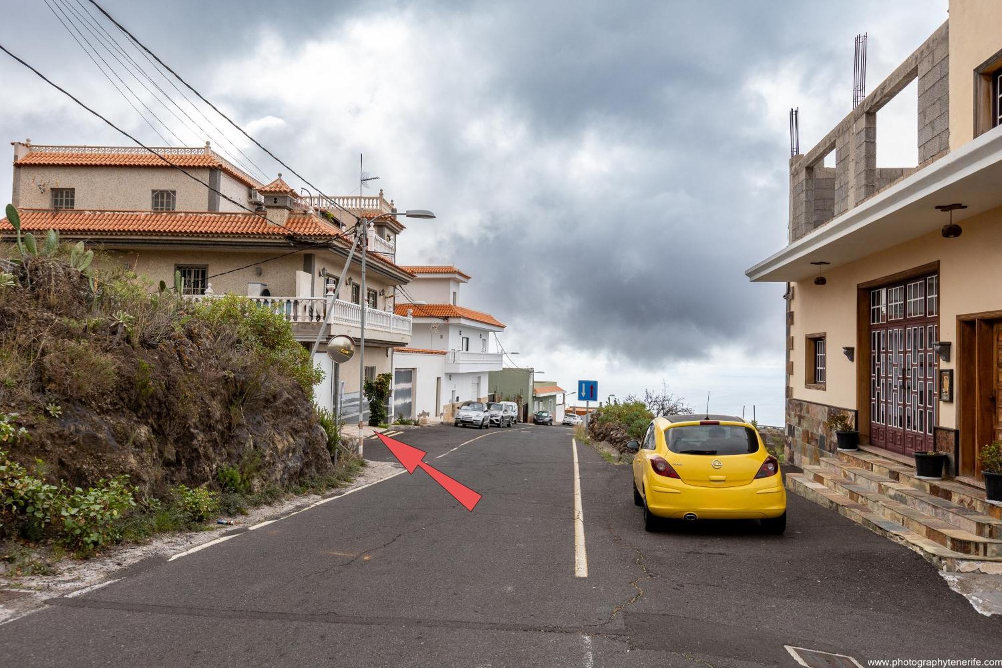 Kind Chio (Tenerife)