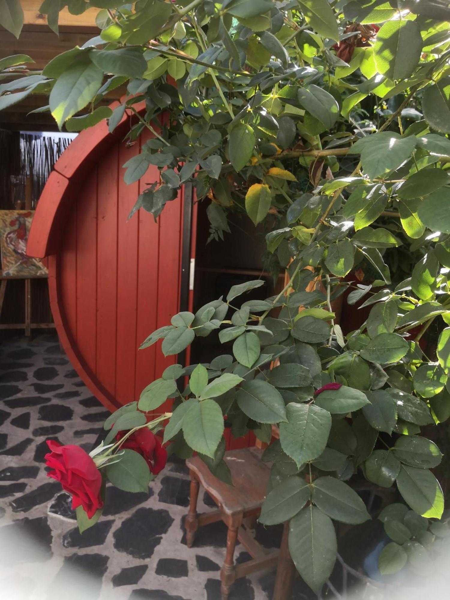 Gato Azul - Coliving Guest house