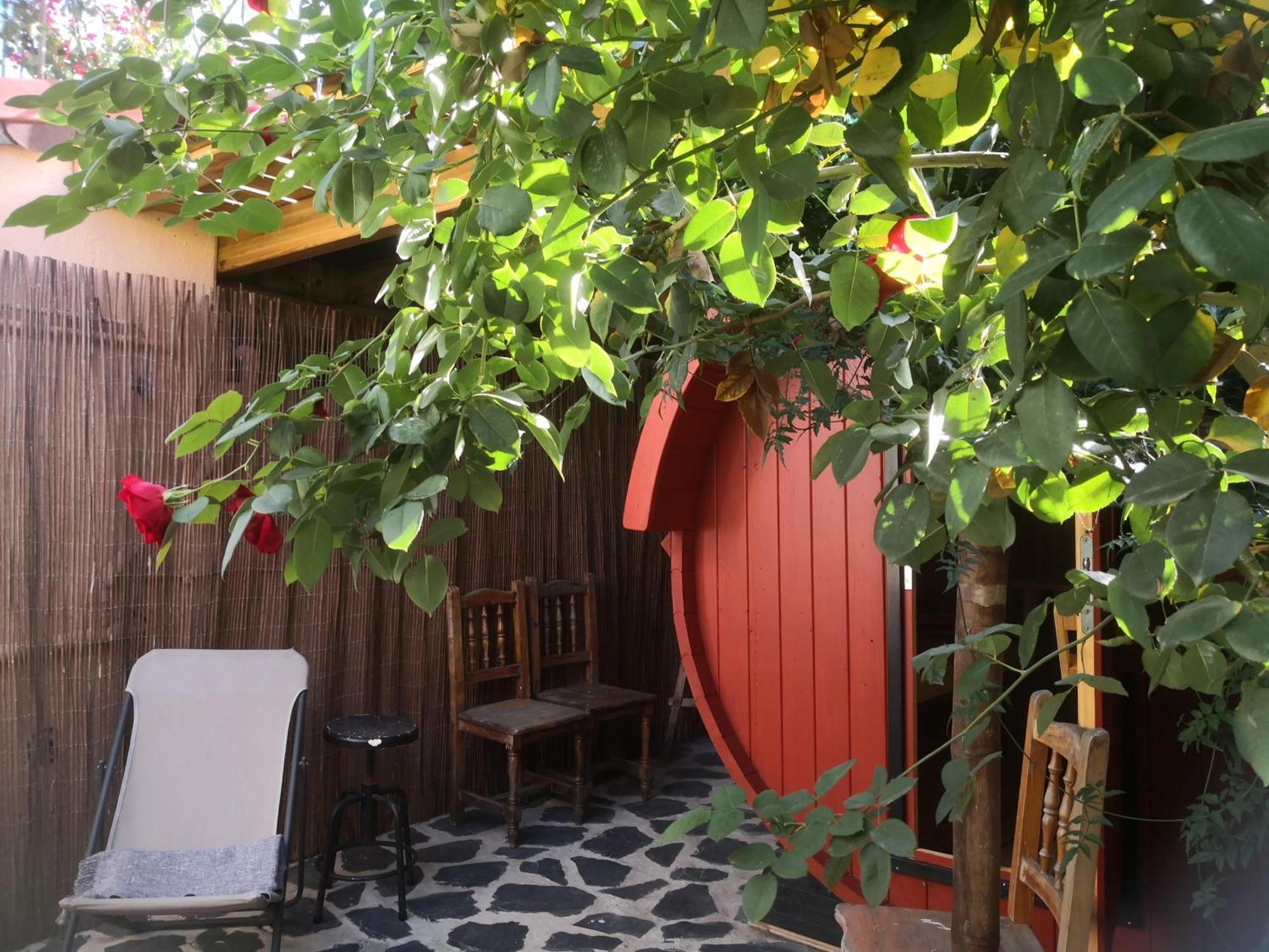 Guest house Gato Azul - Coliving