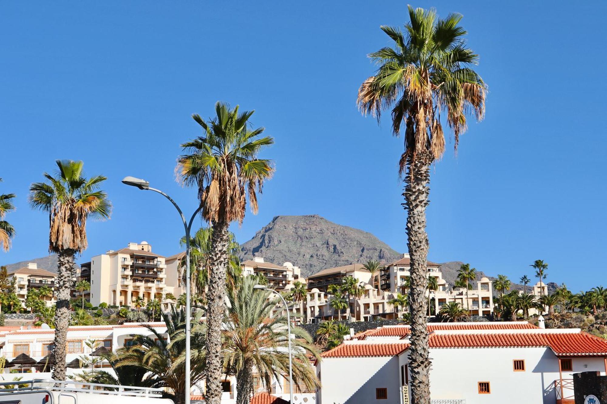 Apartment Duque Beachfront Elite