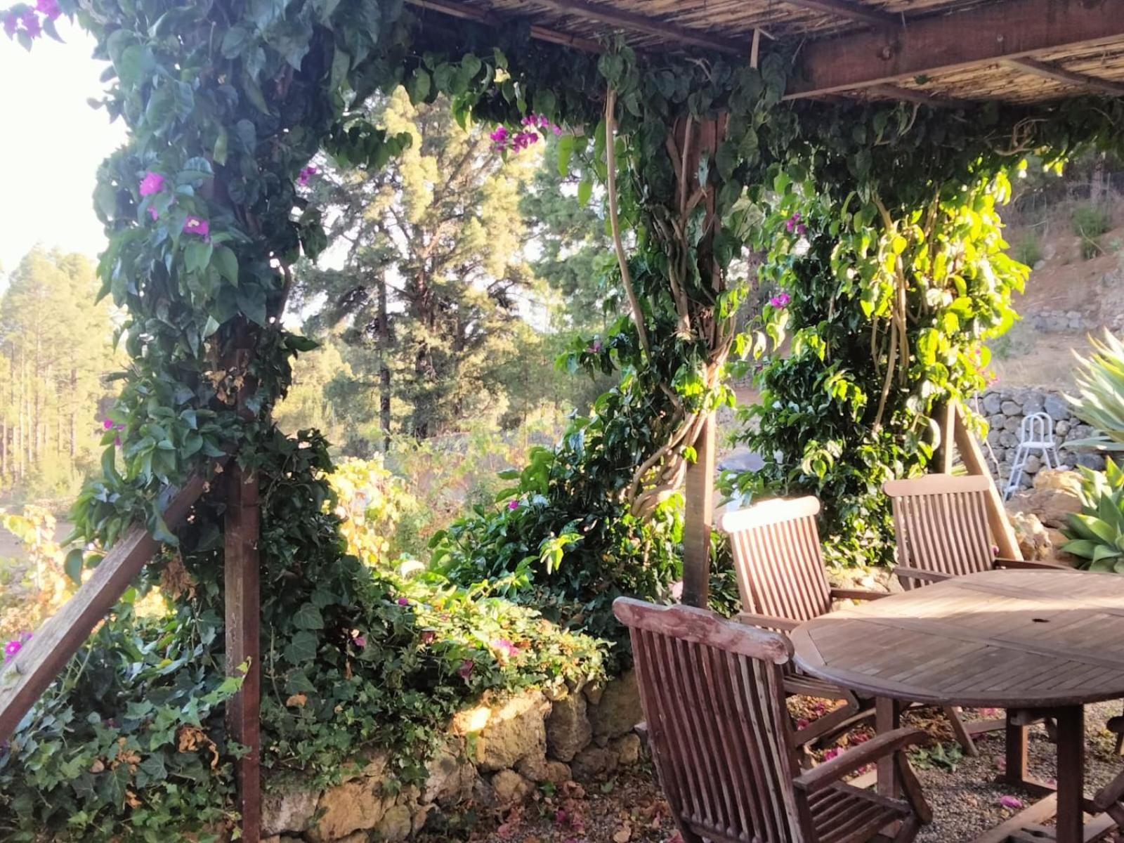 Casa Regina Villa