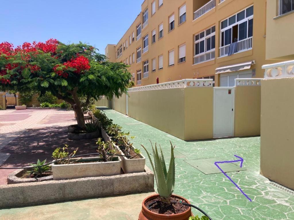 Lolo Apartamento