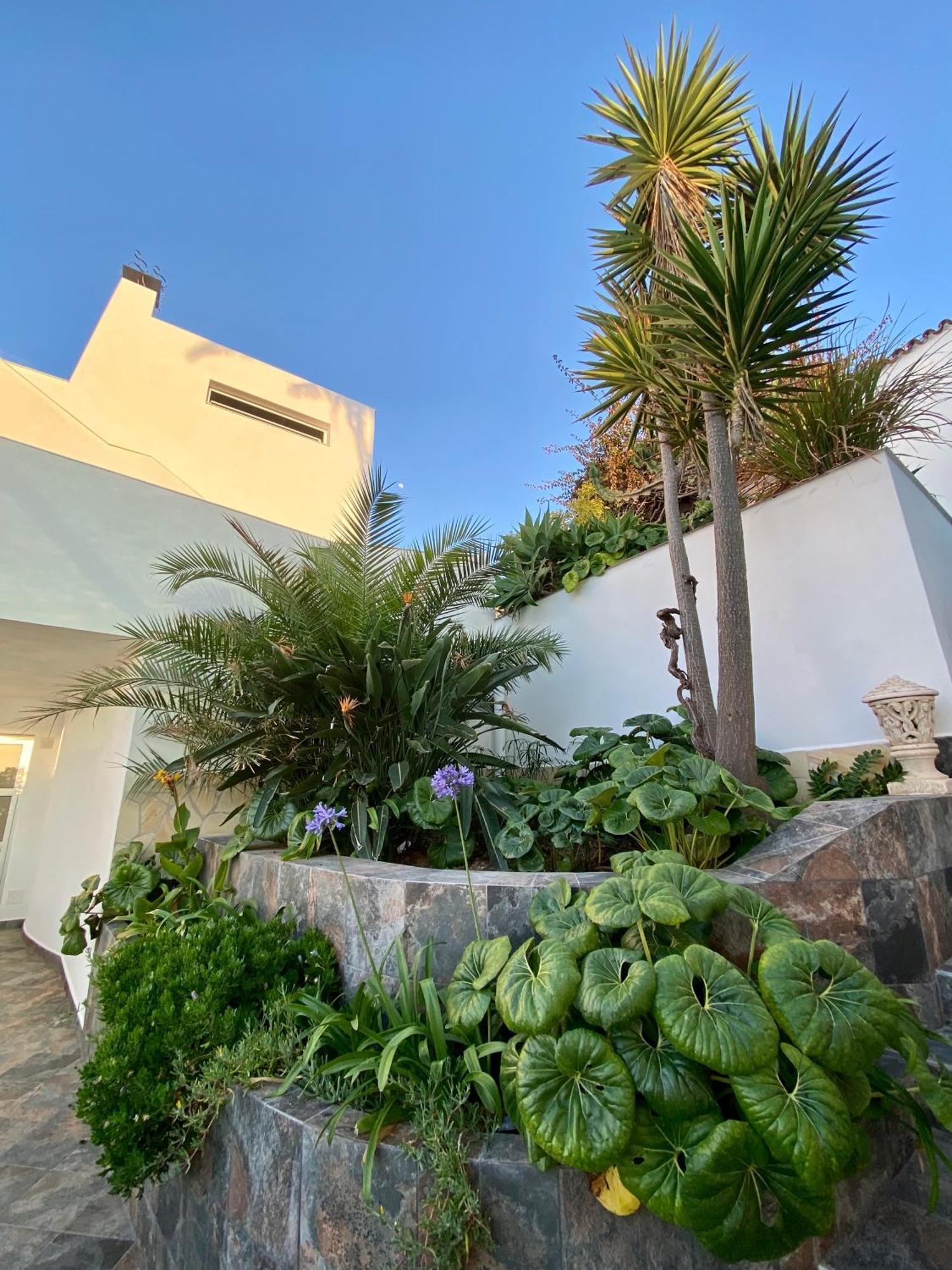 Oasis La Paz - Romen - Adults Only