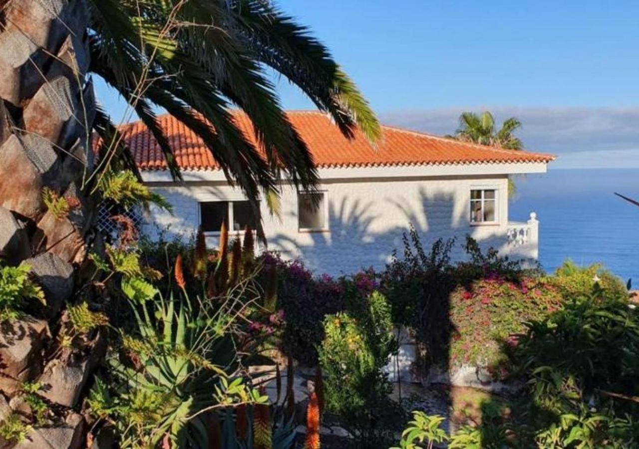 Larnia De Tenerife El Sauzal