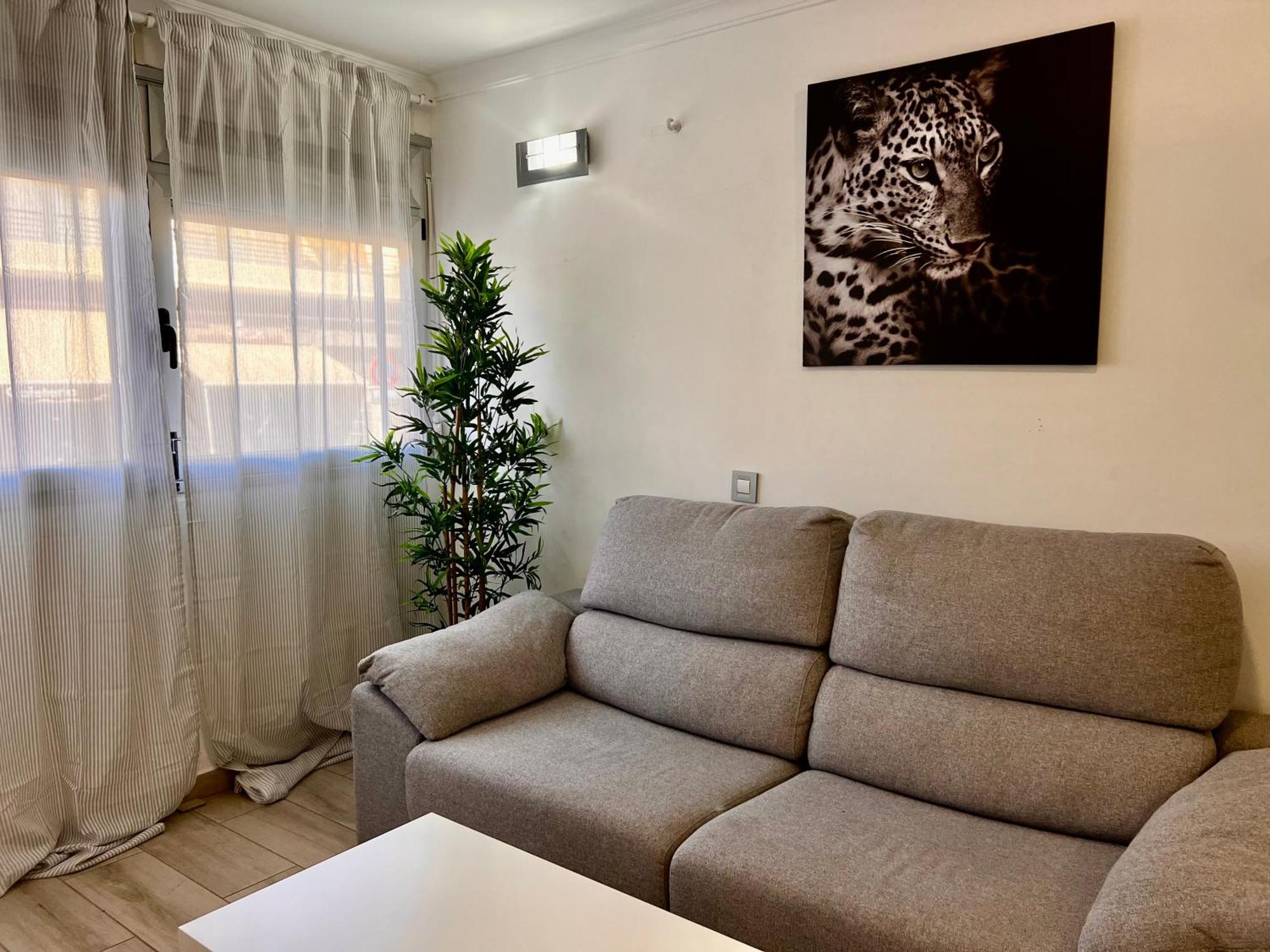 Cozy Apartment El Medano (Tenerife)
