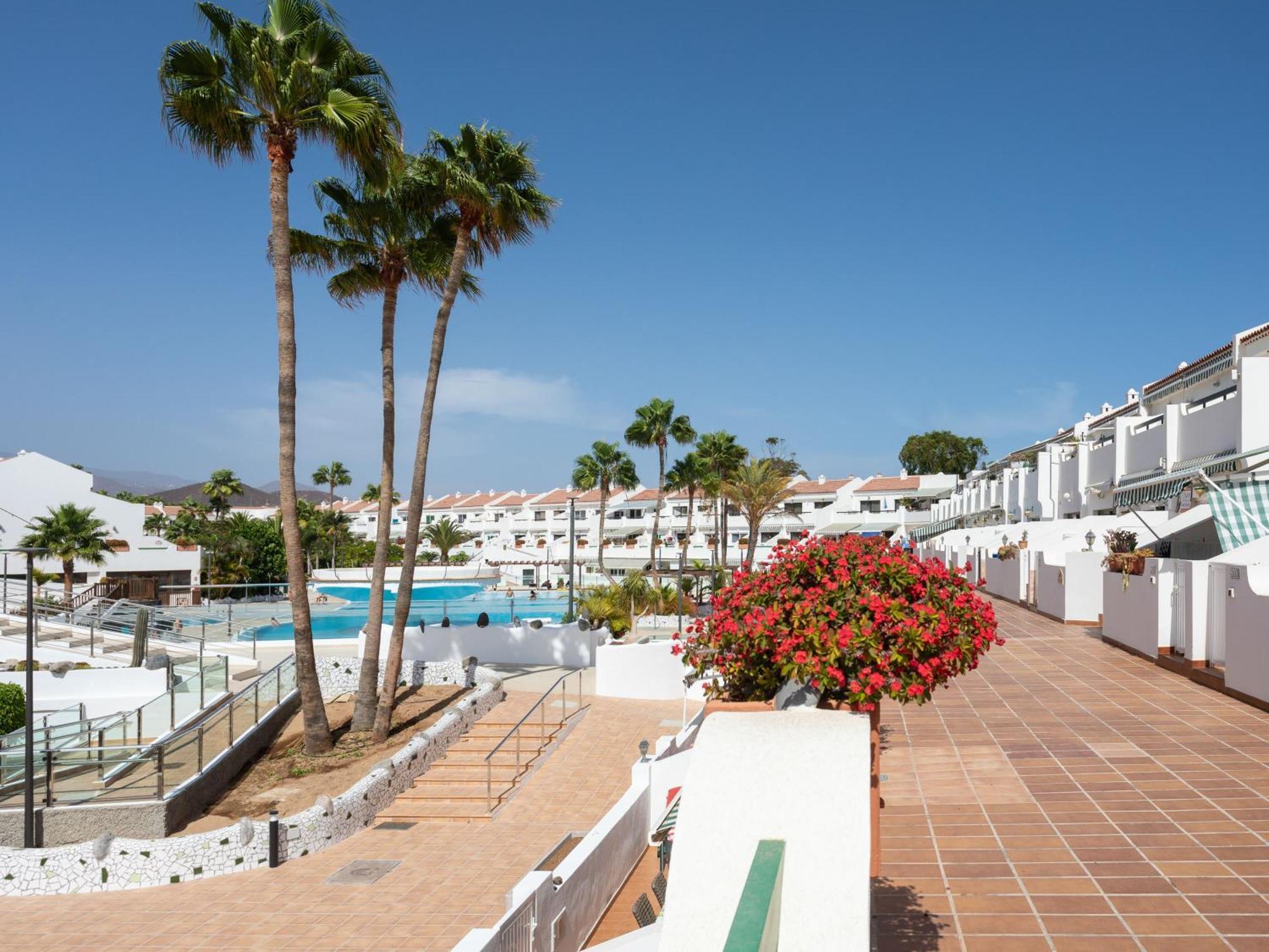 Live Don Jose Two Hundred And Five With Huge Pool And Teracce *