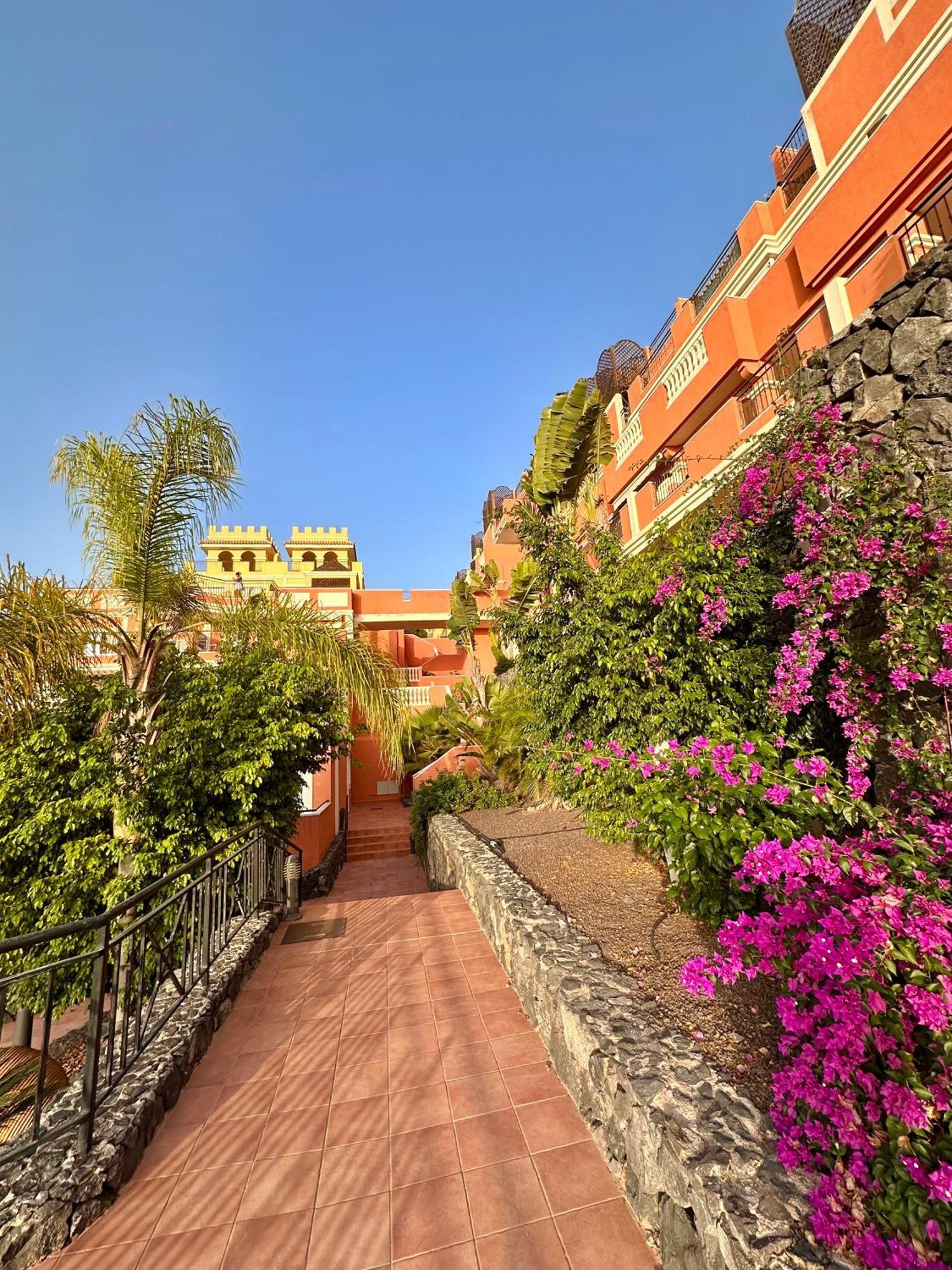 Sunny & Heated Pool * Los Cristianos (Tenerife)