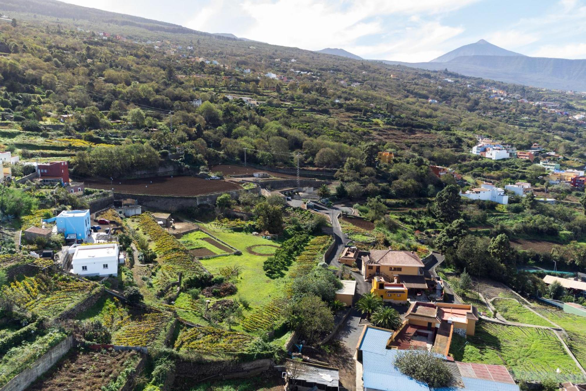 Apartamento Ek Teide El Milagro *