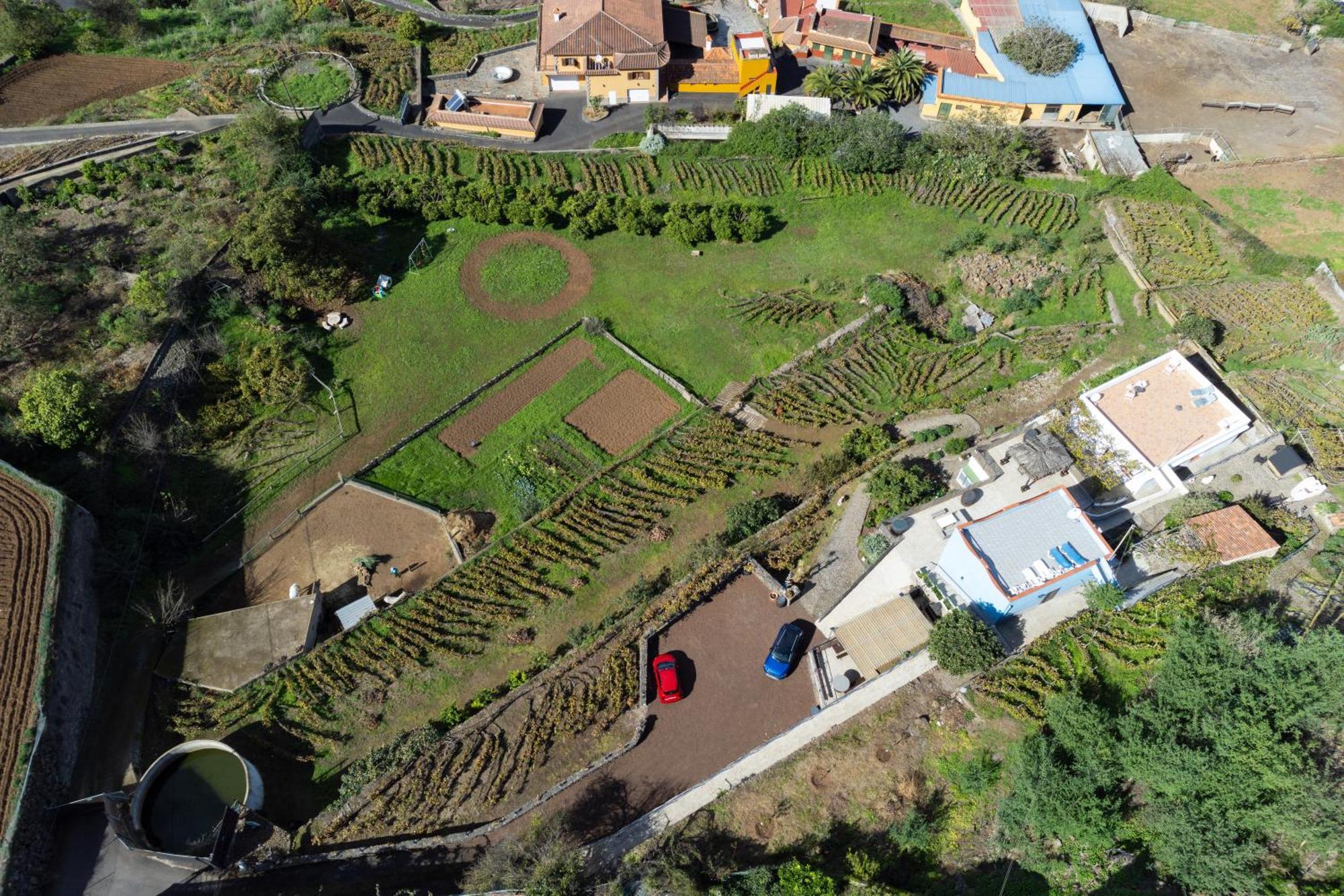 Ek Teide El Milagro La Orotava