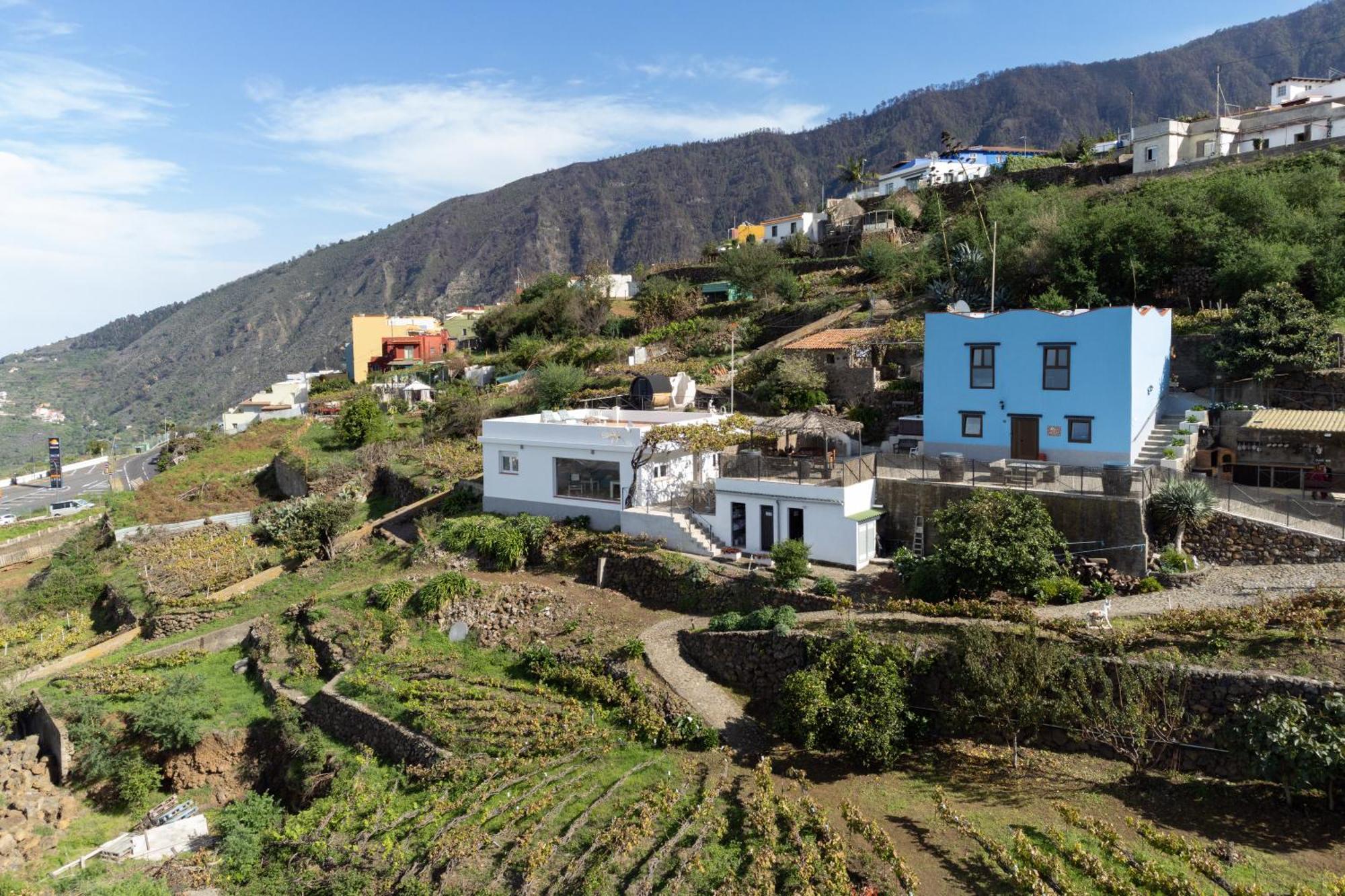 Ek Teide El Milagro *