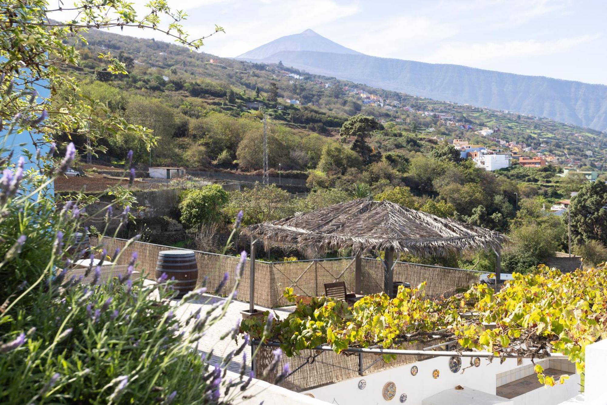 Ek Teide El Milagro La Orotava