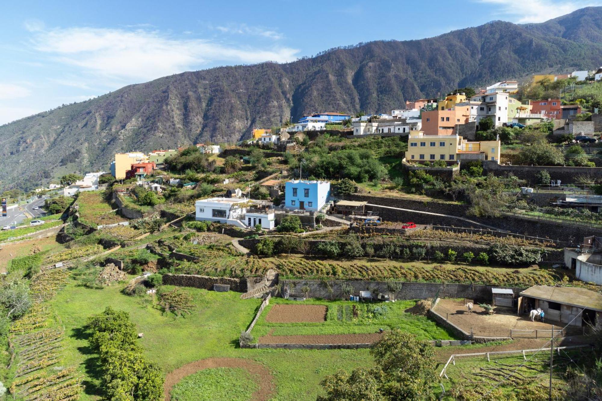Apartamento Ek Drago El Milagro *