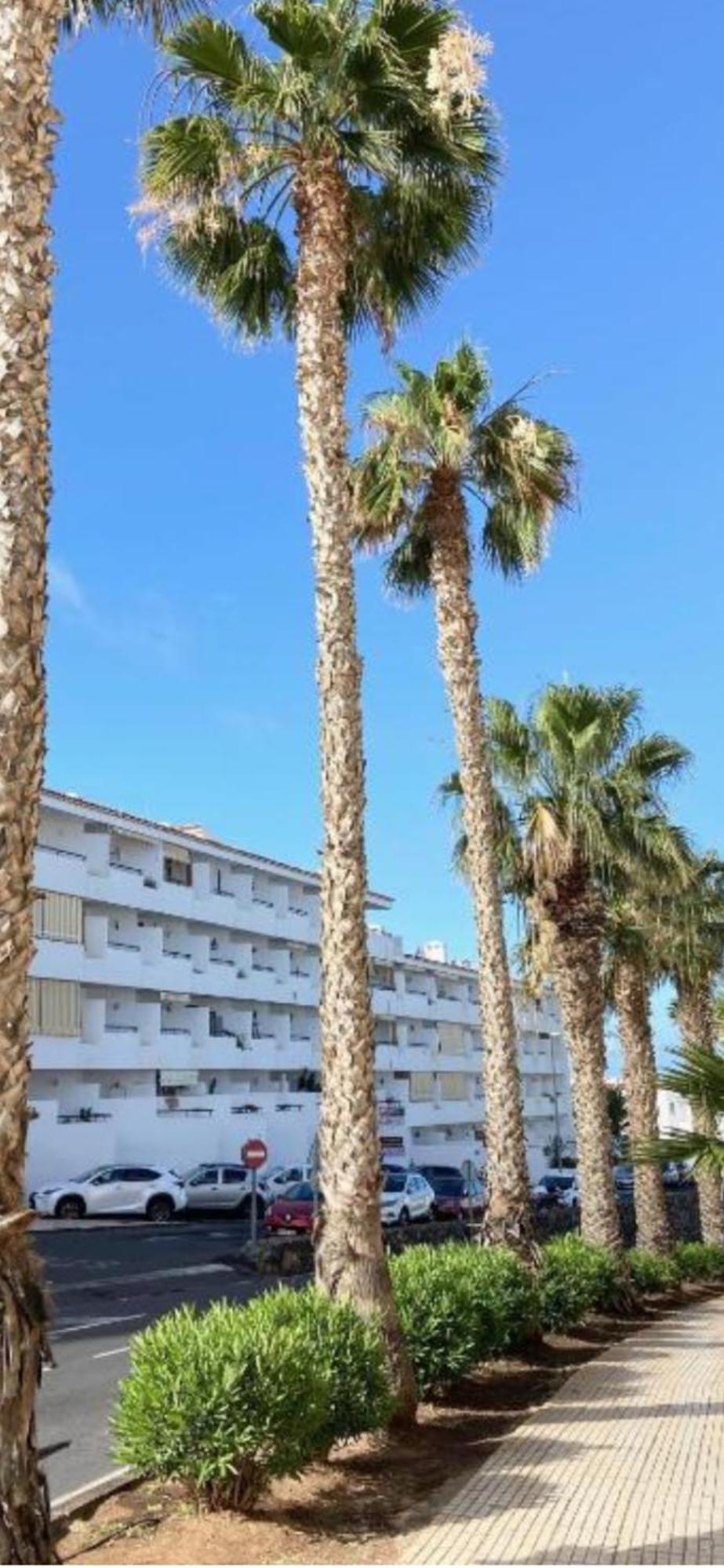 Eleonora Sweet * Los Cristianos (Tenerife)