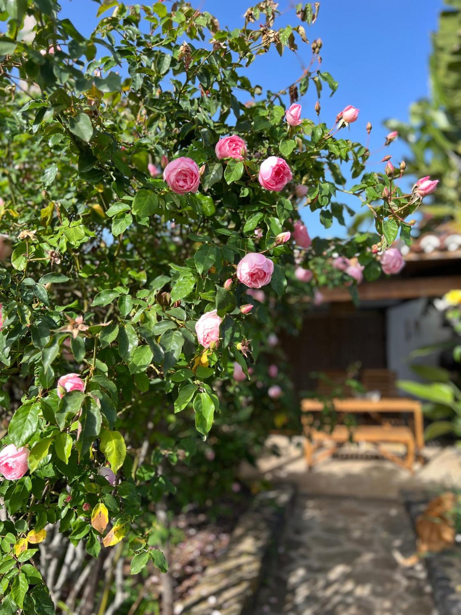 La Paredita Casa Taoro Holiday home *