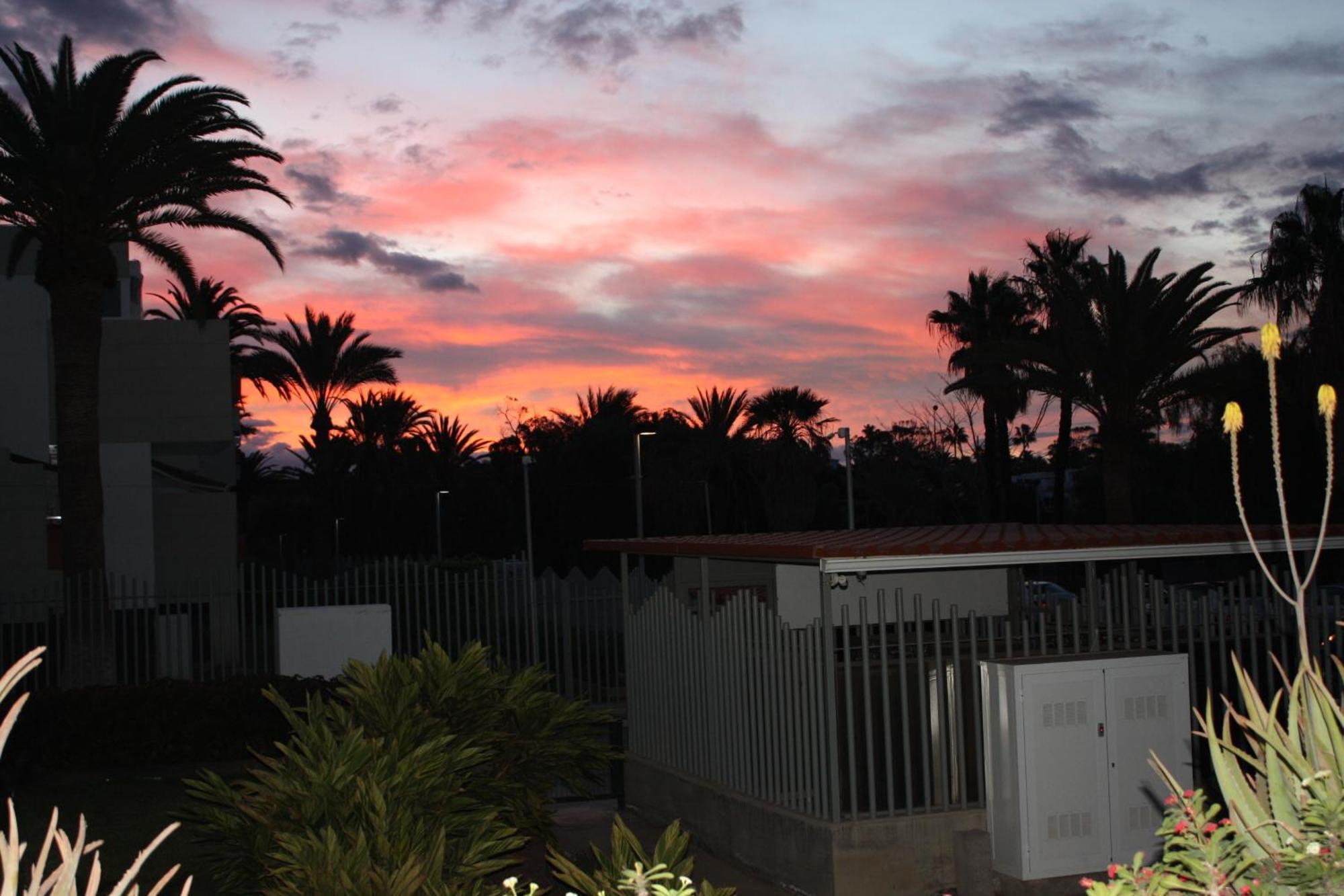 Primavera Tenerife Sur *