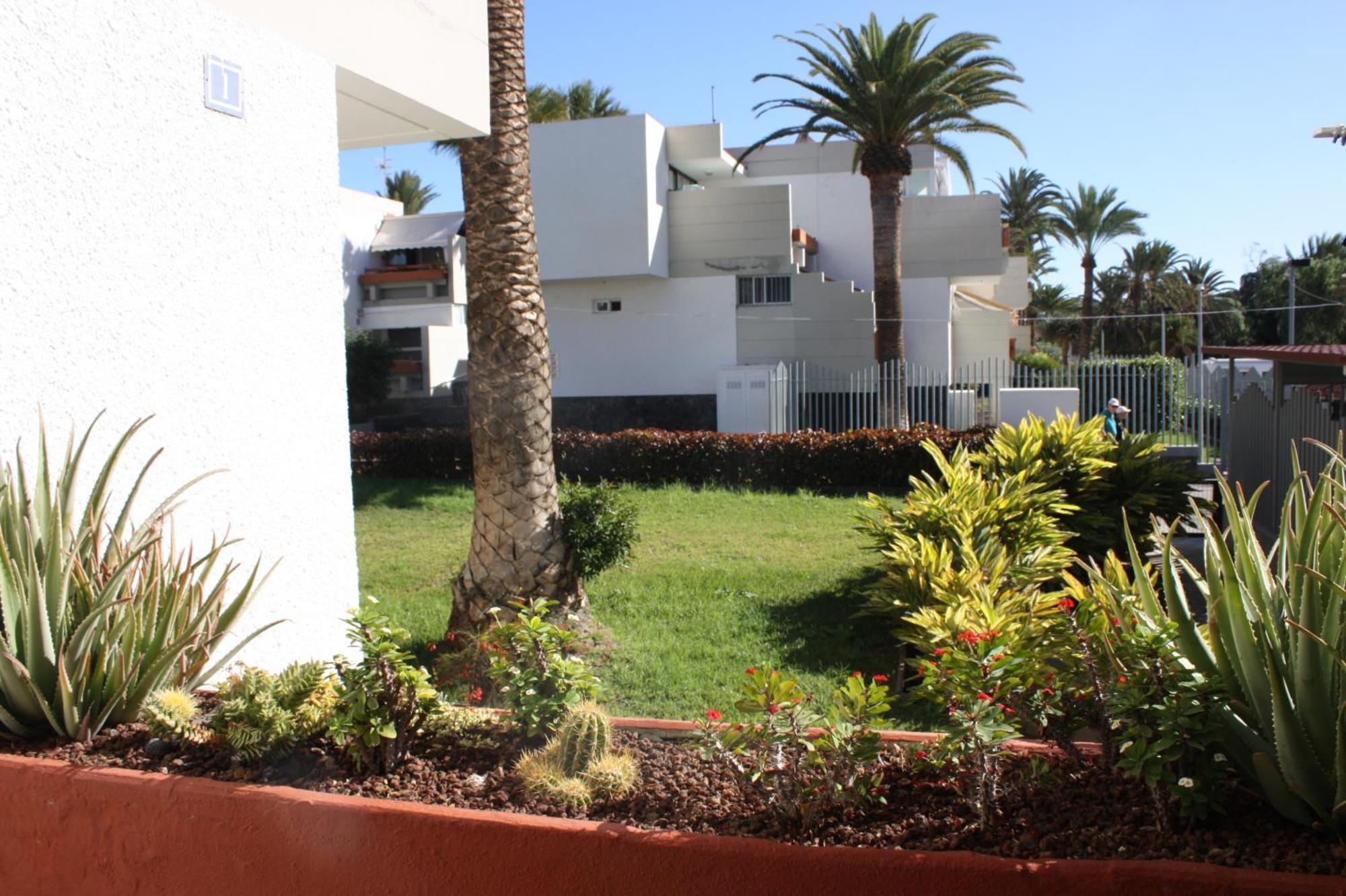 Primavera Tenerife Sur