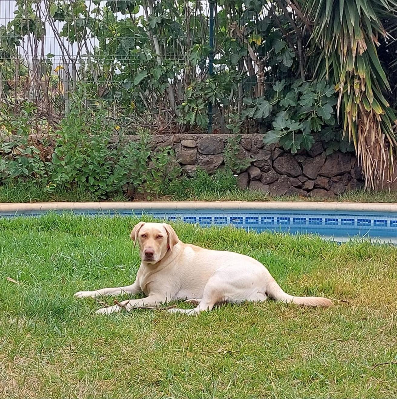 Сasa de vacaciones Doña Herminda *