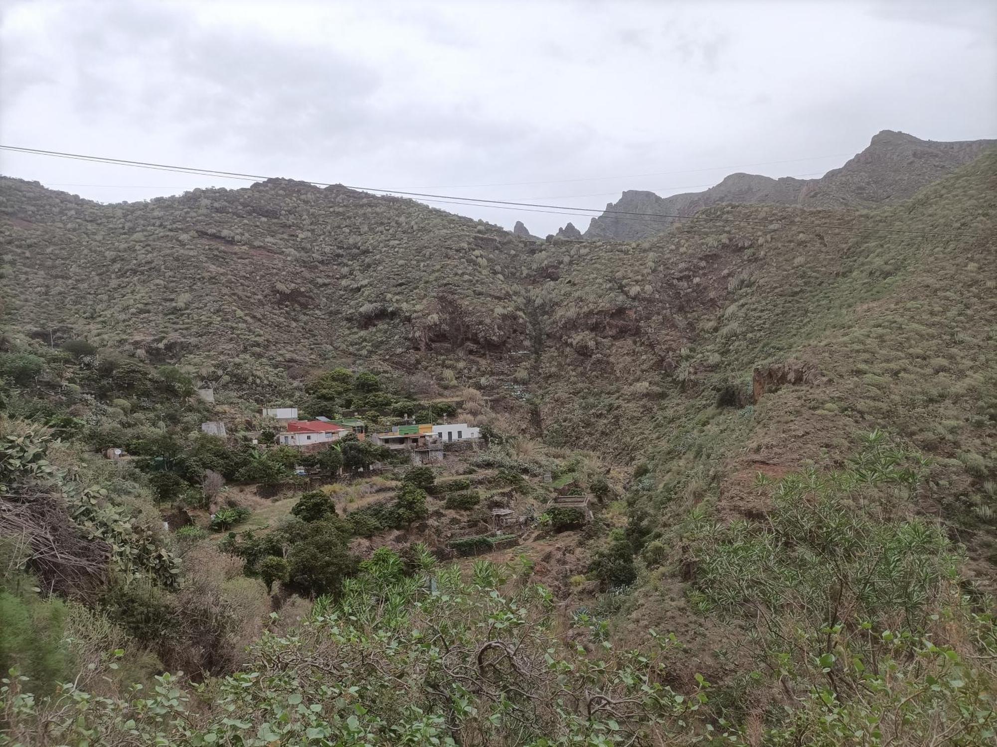 Tenerife *