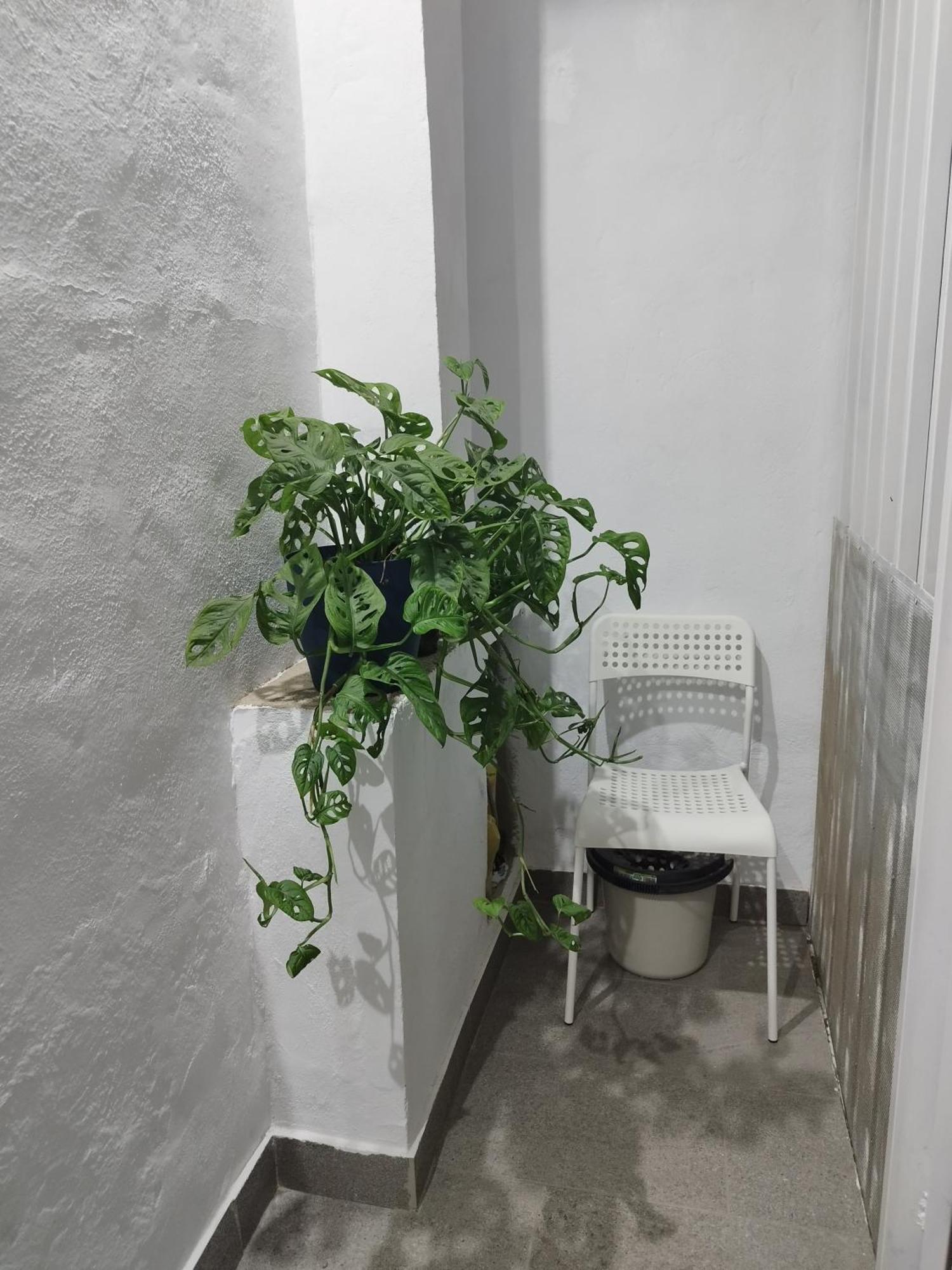 Casa De Maria Luisa *