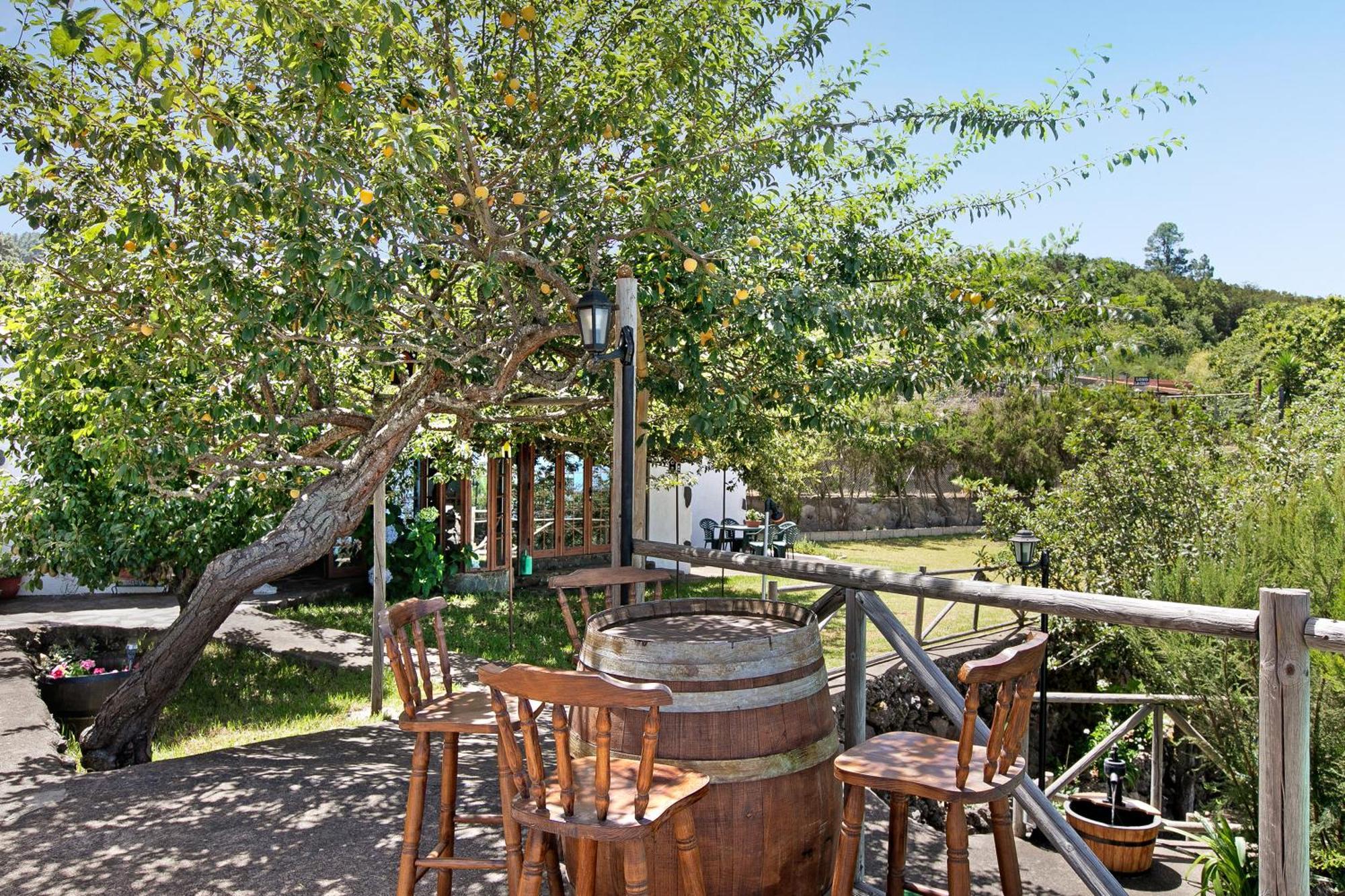 Carmenes Icod De Los Vinos
