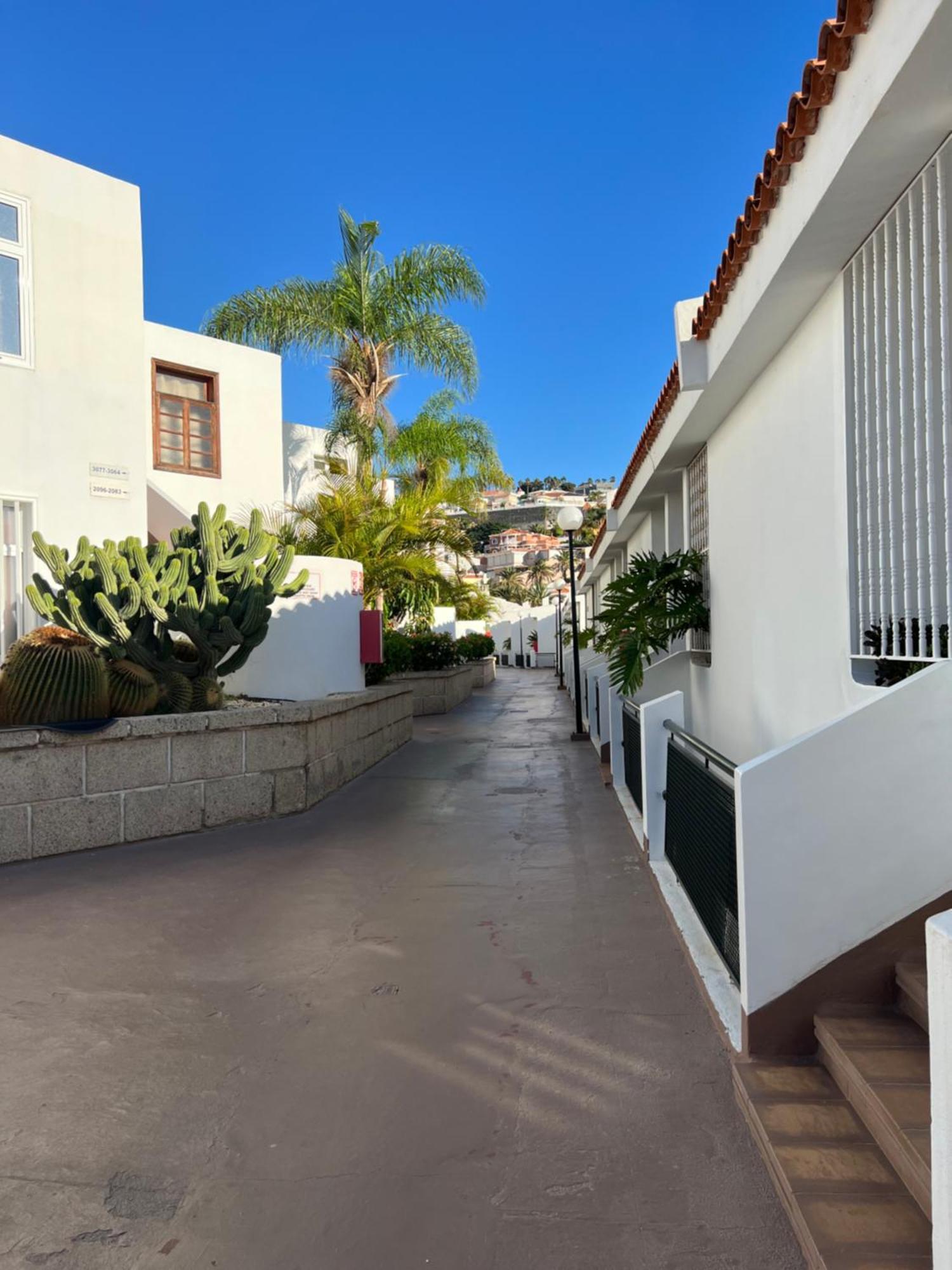Lovely Sunny Appartement Costa Adeje (Tenerife)