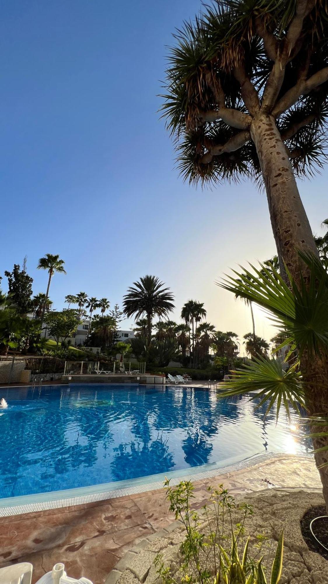 El Dorado - New Modern * Playa de las Américas