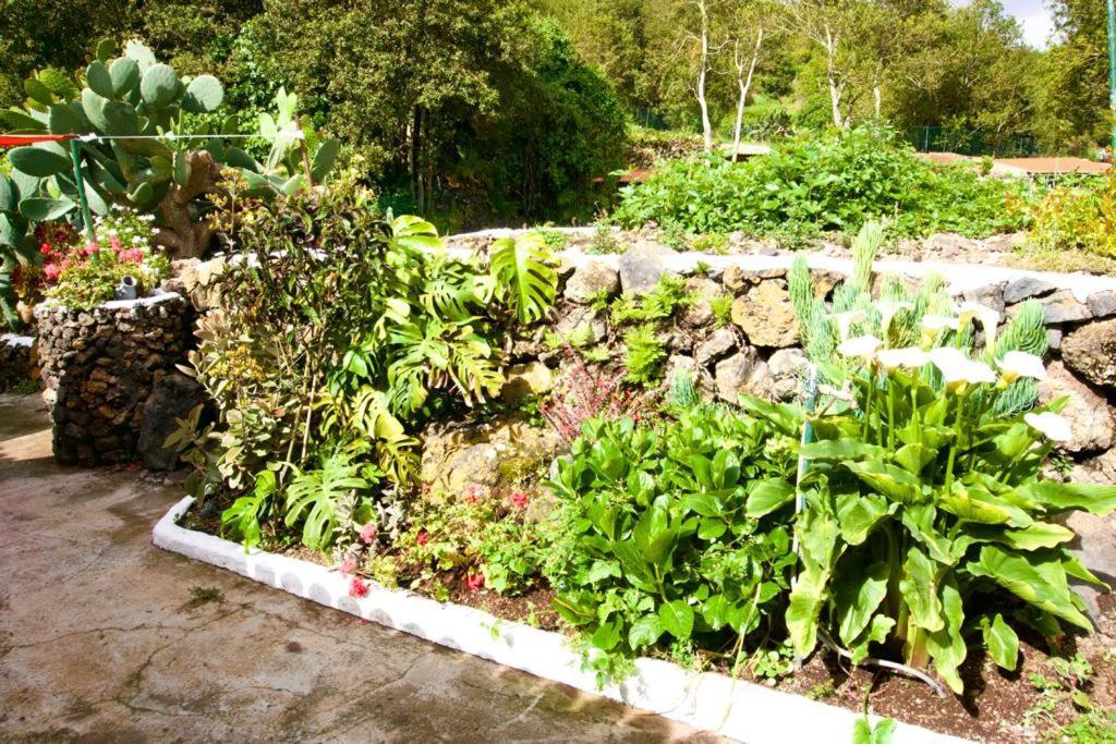 La Vega Rural De Garachico, Near Santa Cruz De Tenerife Holiday home