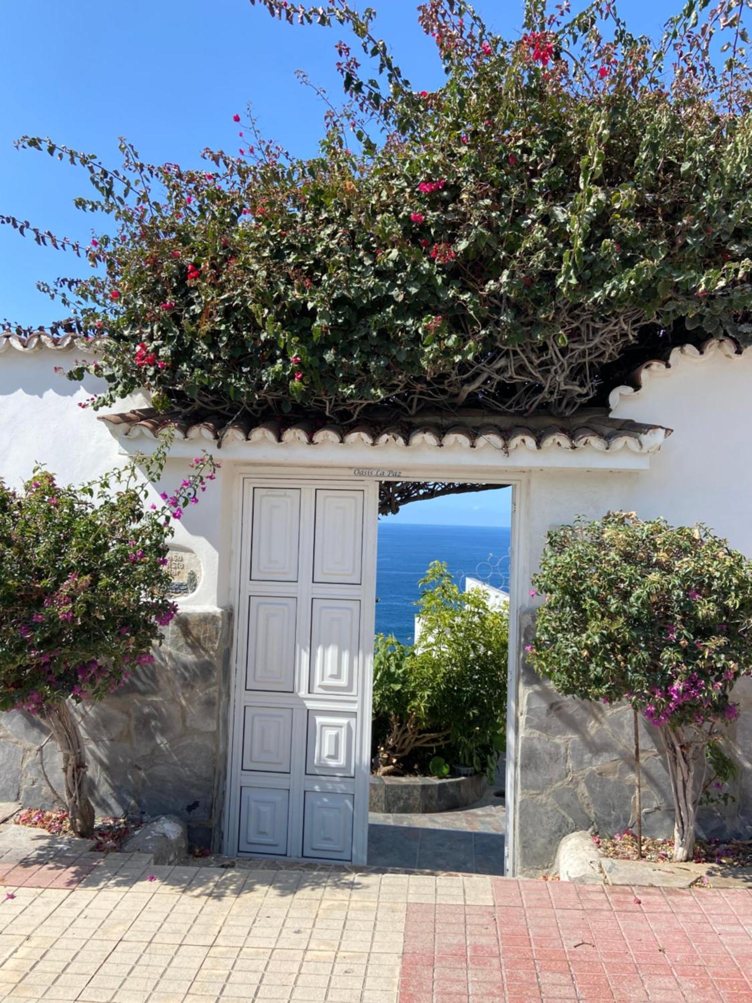 Apartment Oasis La Paz - Pelinor - Adults Only *