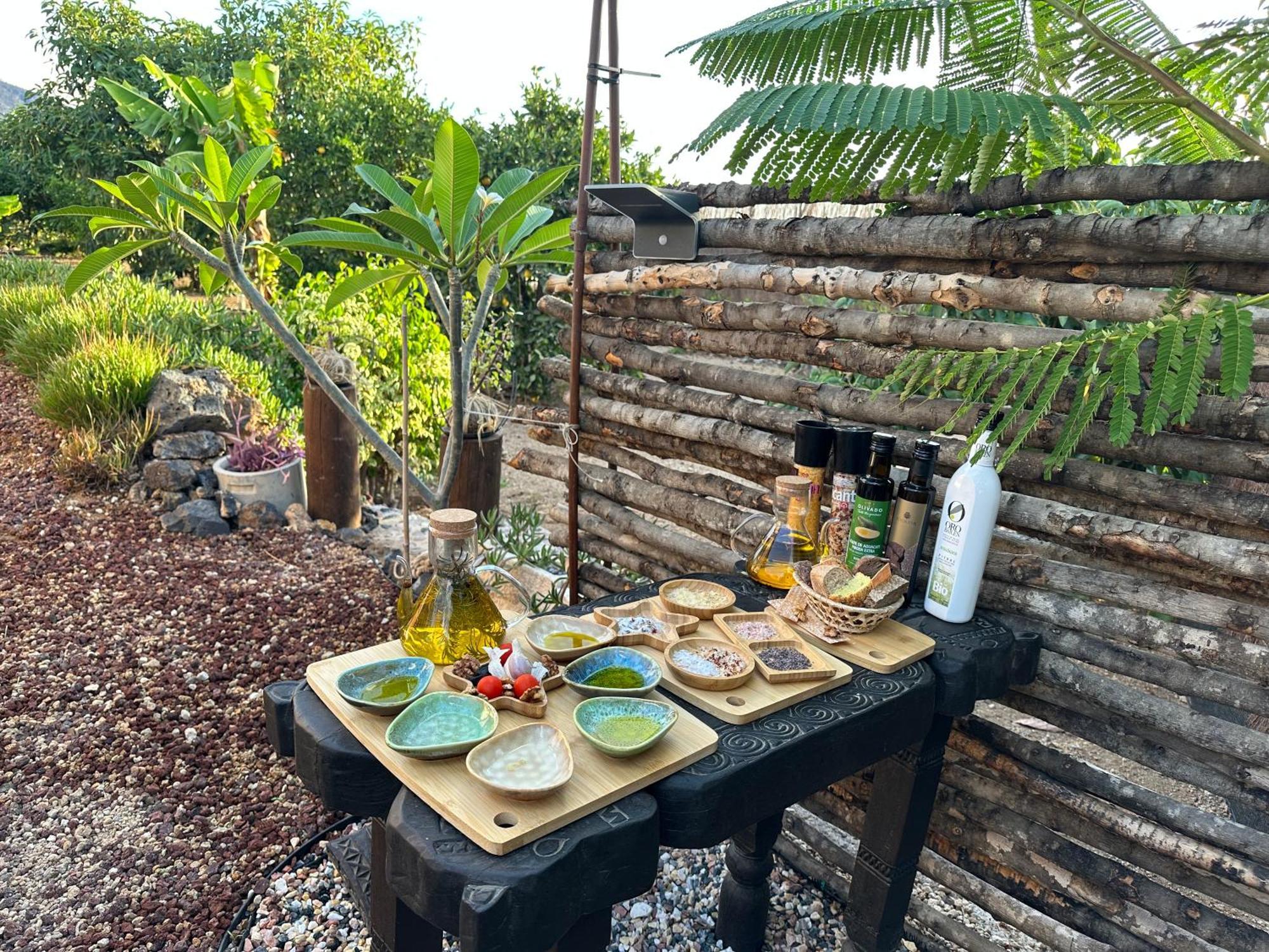 Afrikan Krisant Tenerife, Ecologica * Arafo