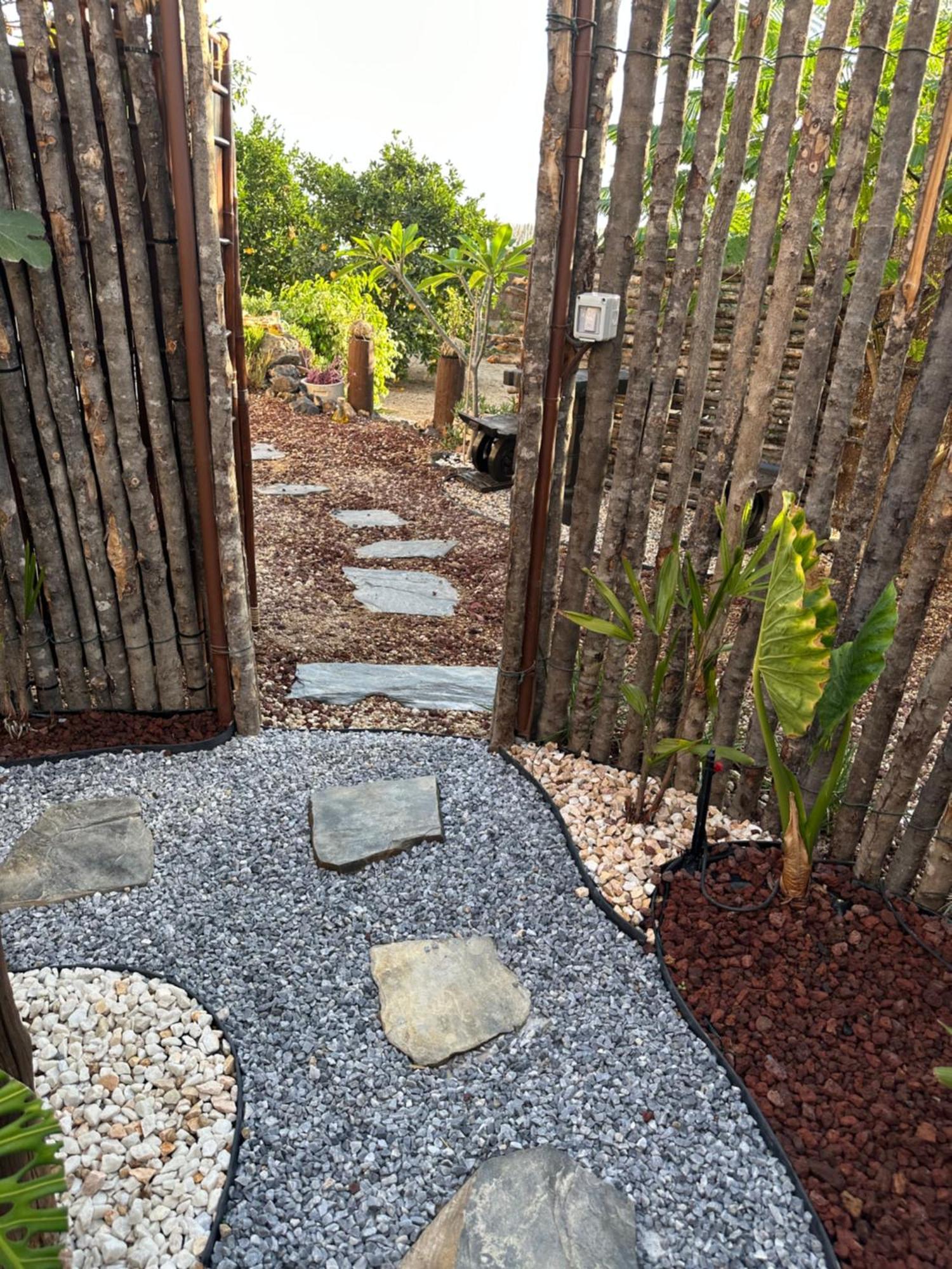 Afrikan Krisant Tenerife, Ecologica * Arafo
