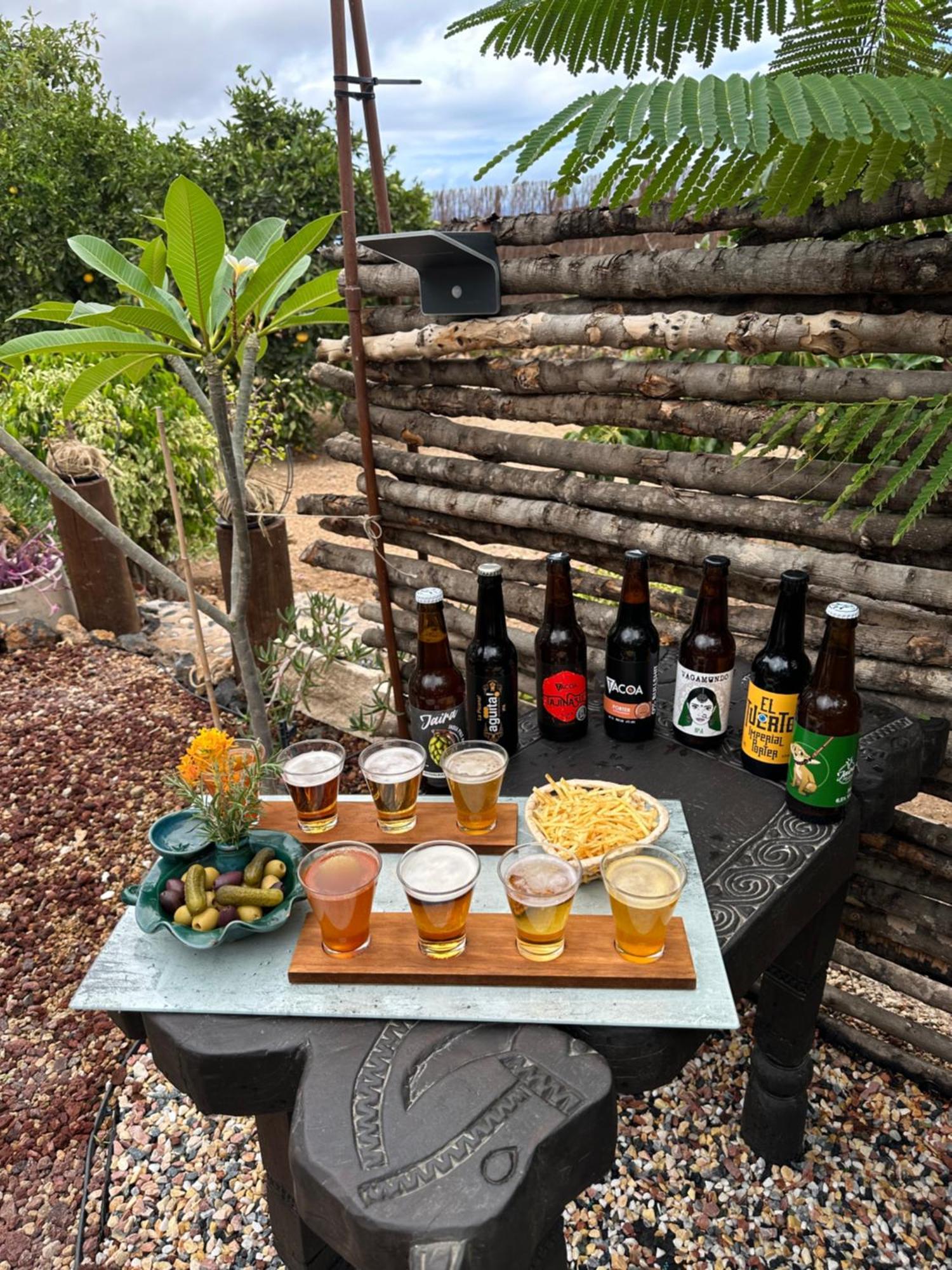 Afrikan Krisant Tenerife, Ecologica