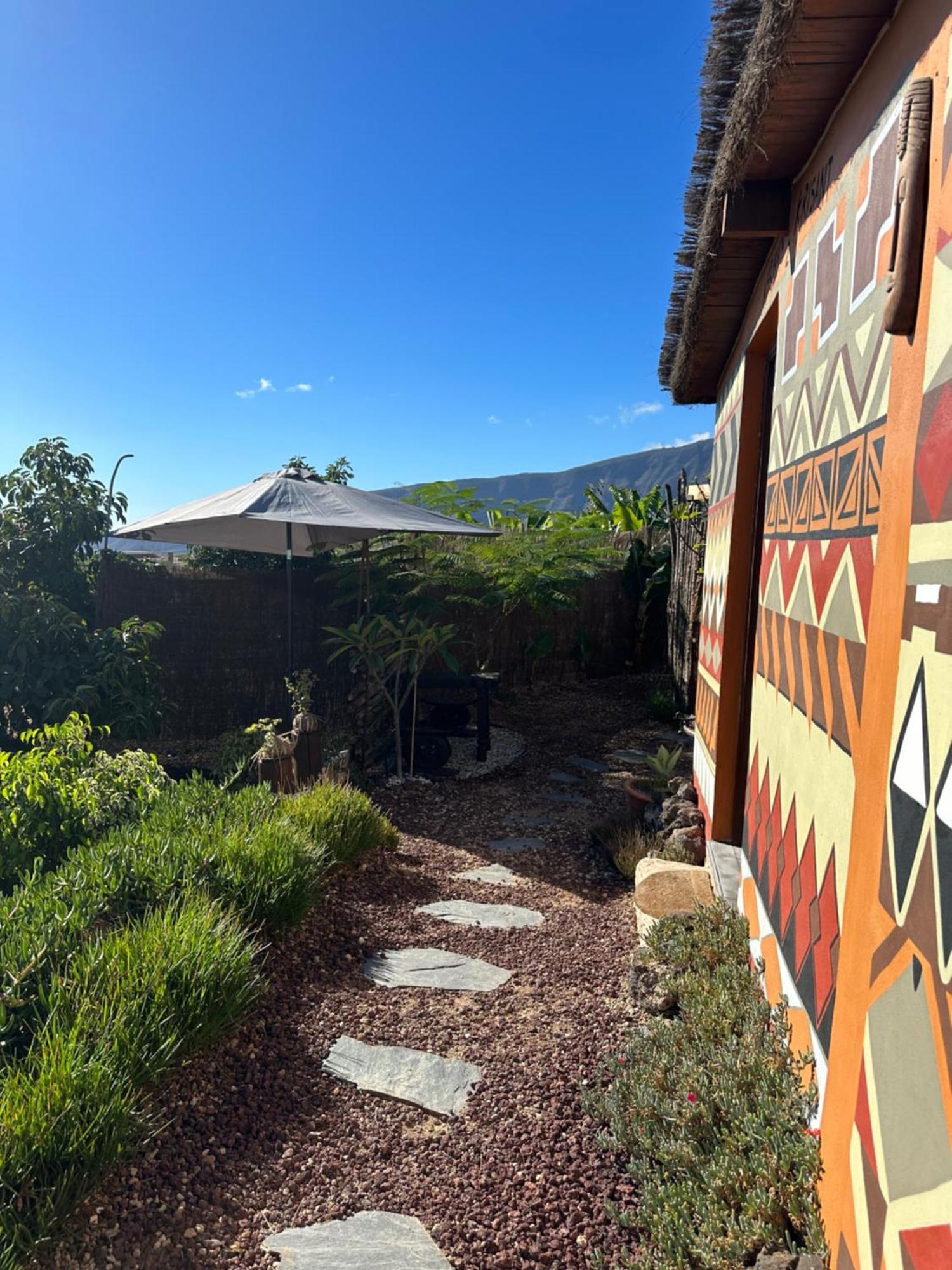 Afrikan Krisant Tenerife, Ecologica Villa Arafo