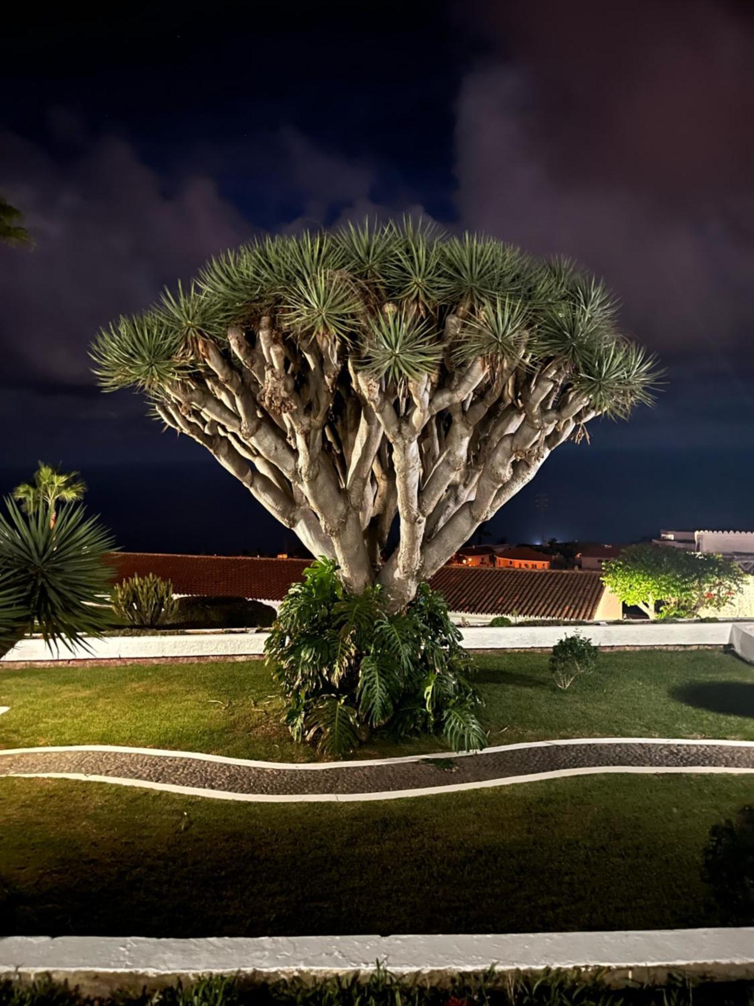 Apartment-spa Drago-mar, Club Parque Mesa Del Mar *