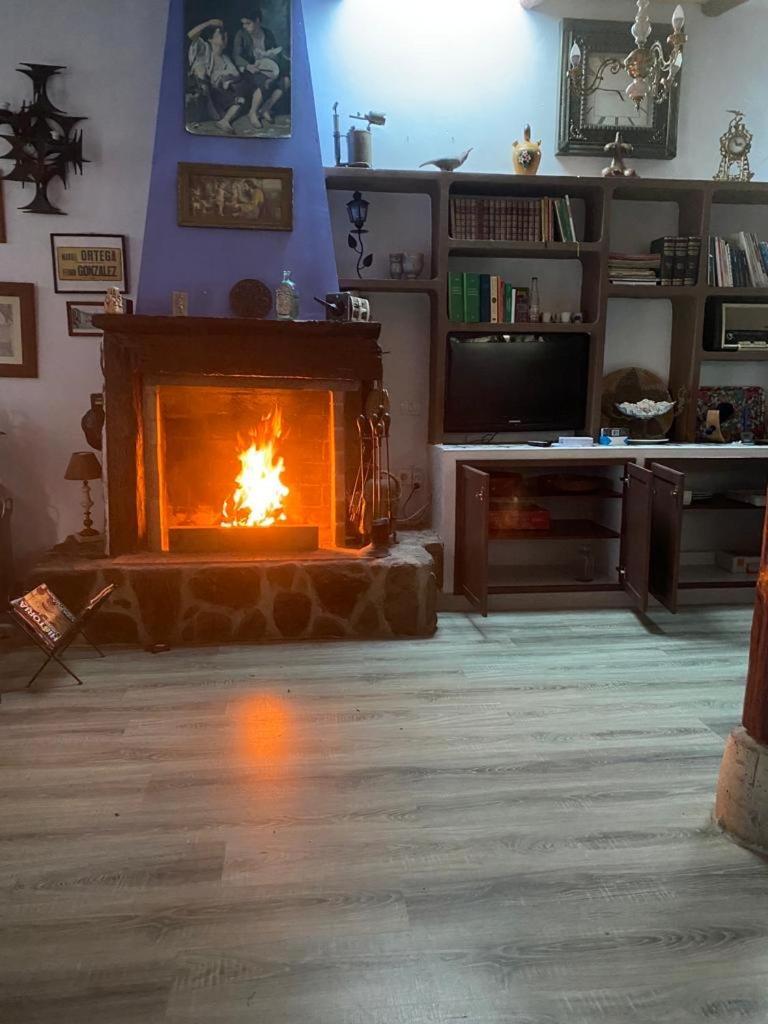 Rural House To Take A Break, La Serreria 25 - Private Garden Holiday home Tacoronte