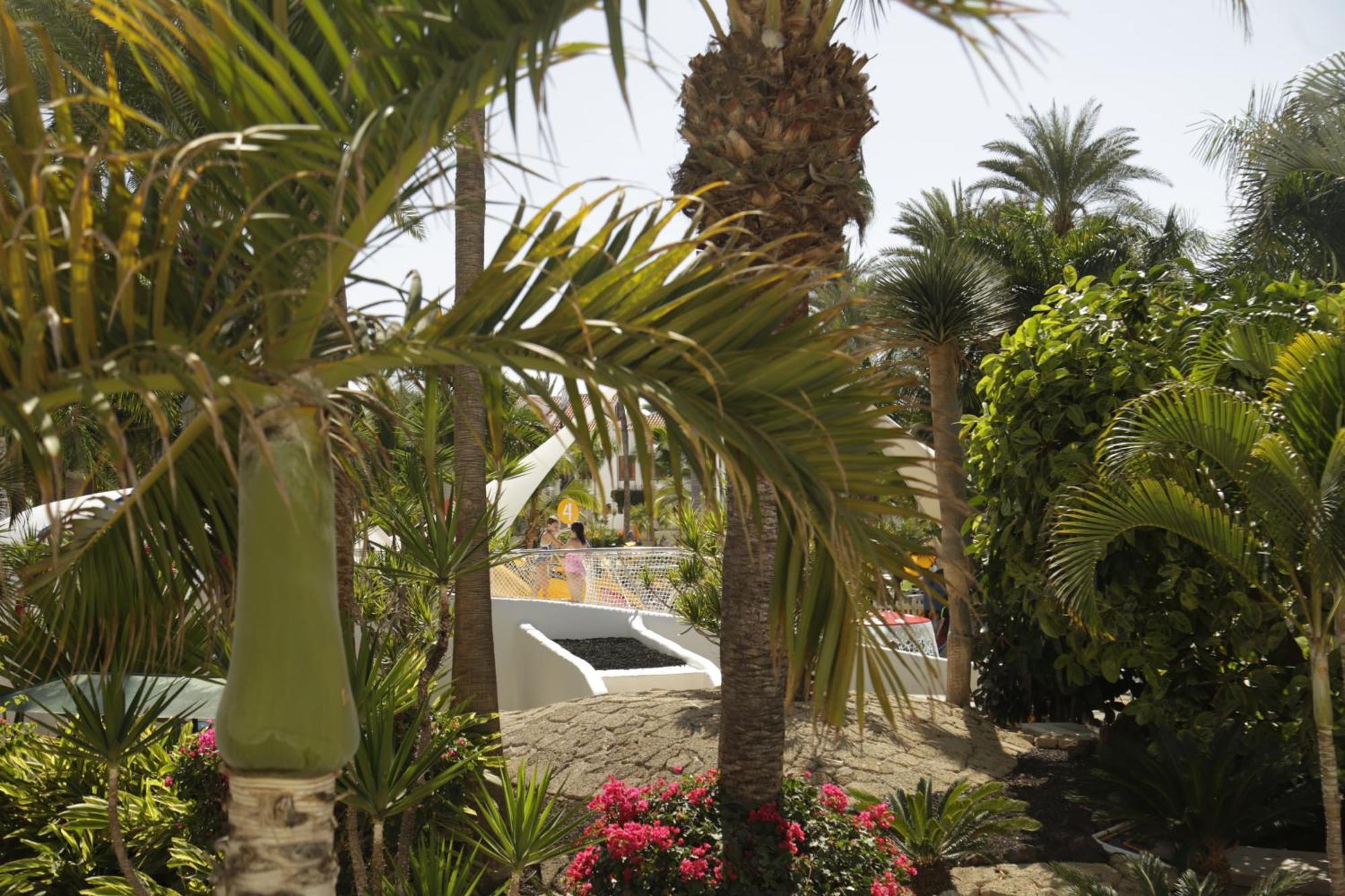 Apartamento Parque Santiago 3 Luxery Apartment, Playa Américas, Arona, Tenerife