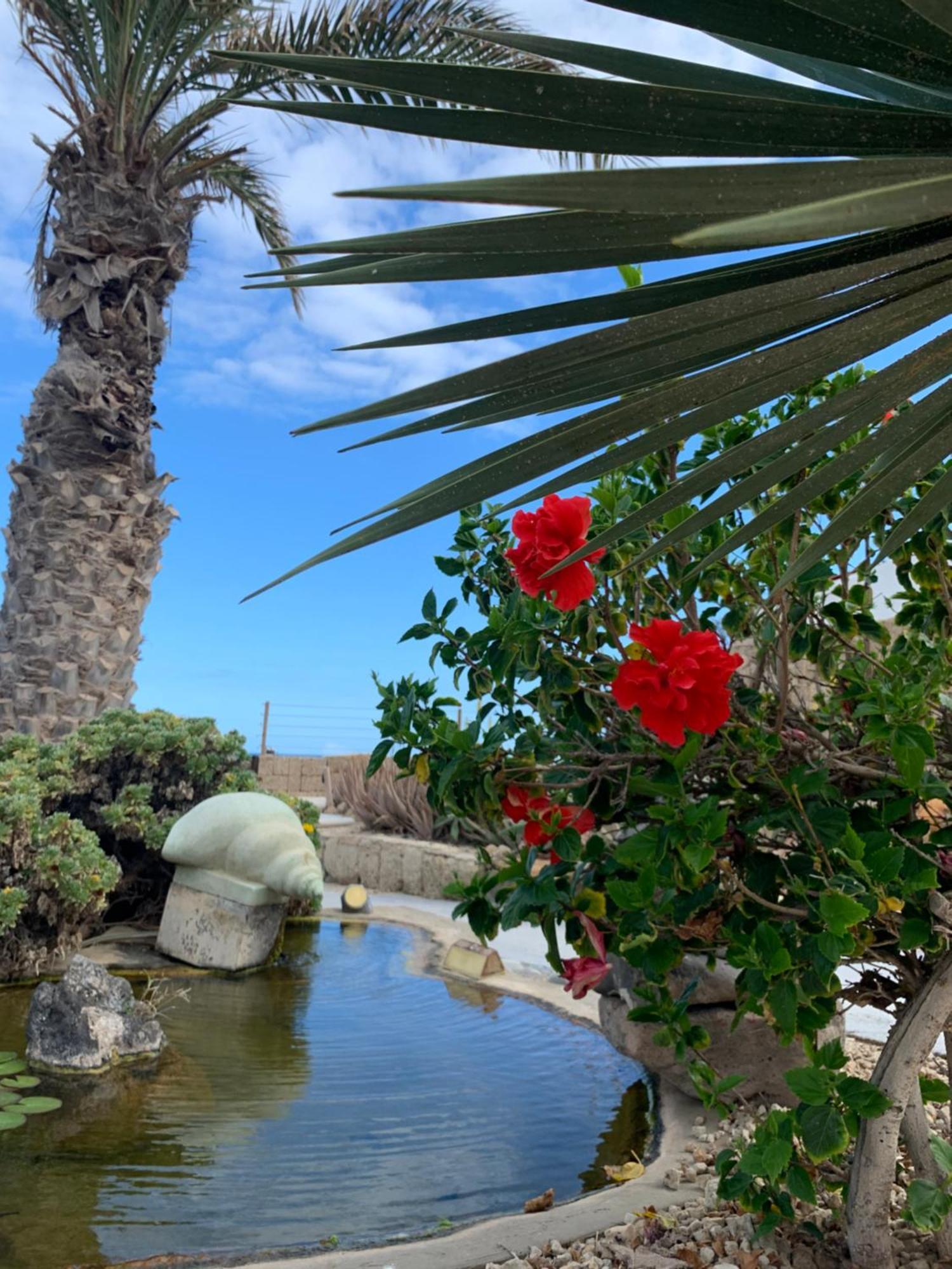 Appartement Little Paradise In El Medano 2 *