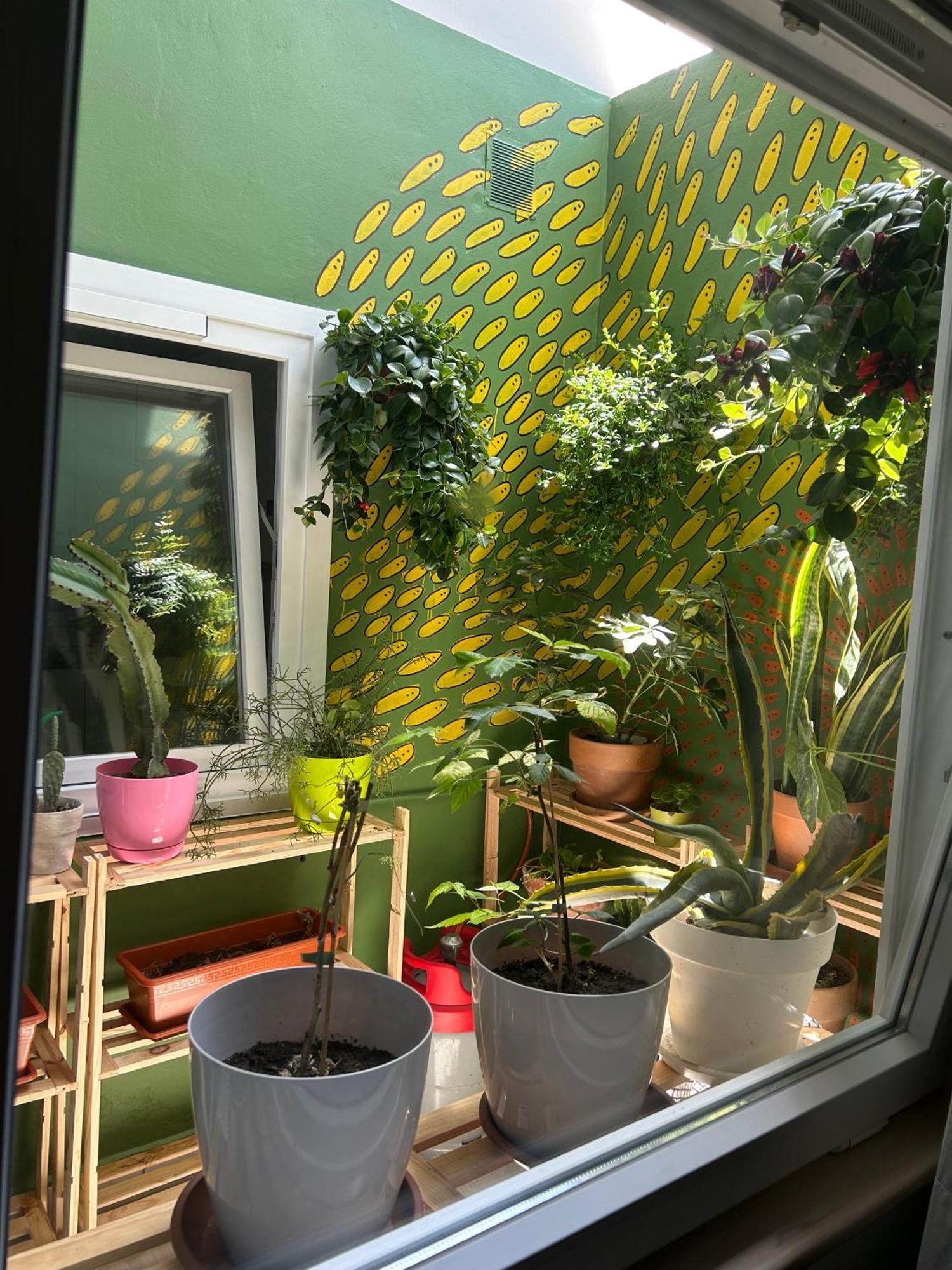 Habitación en casa particular Perro Y Osito Garachico (Tenerife)